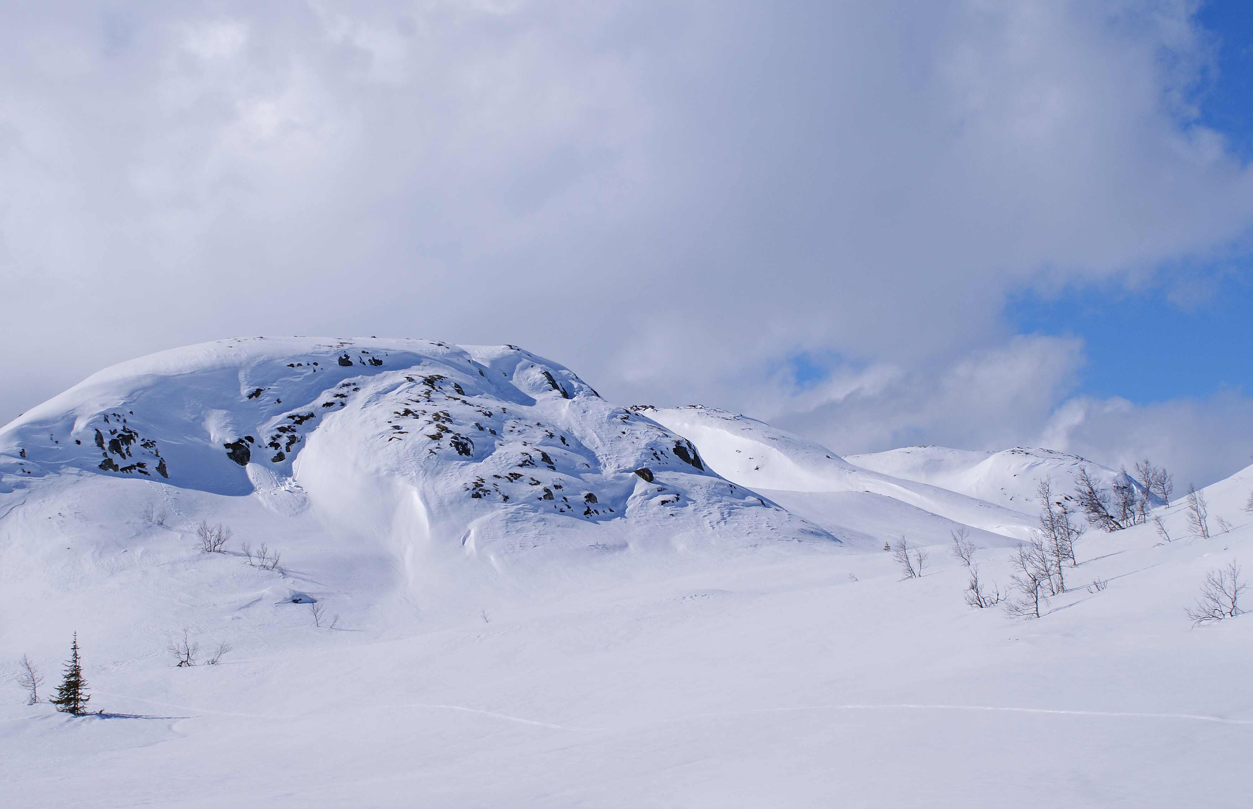White landscape (4500406315)