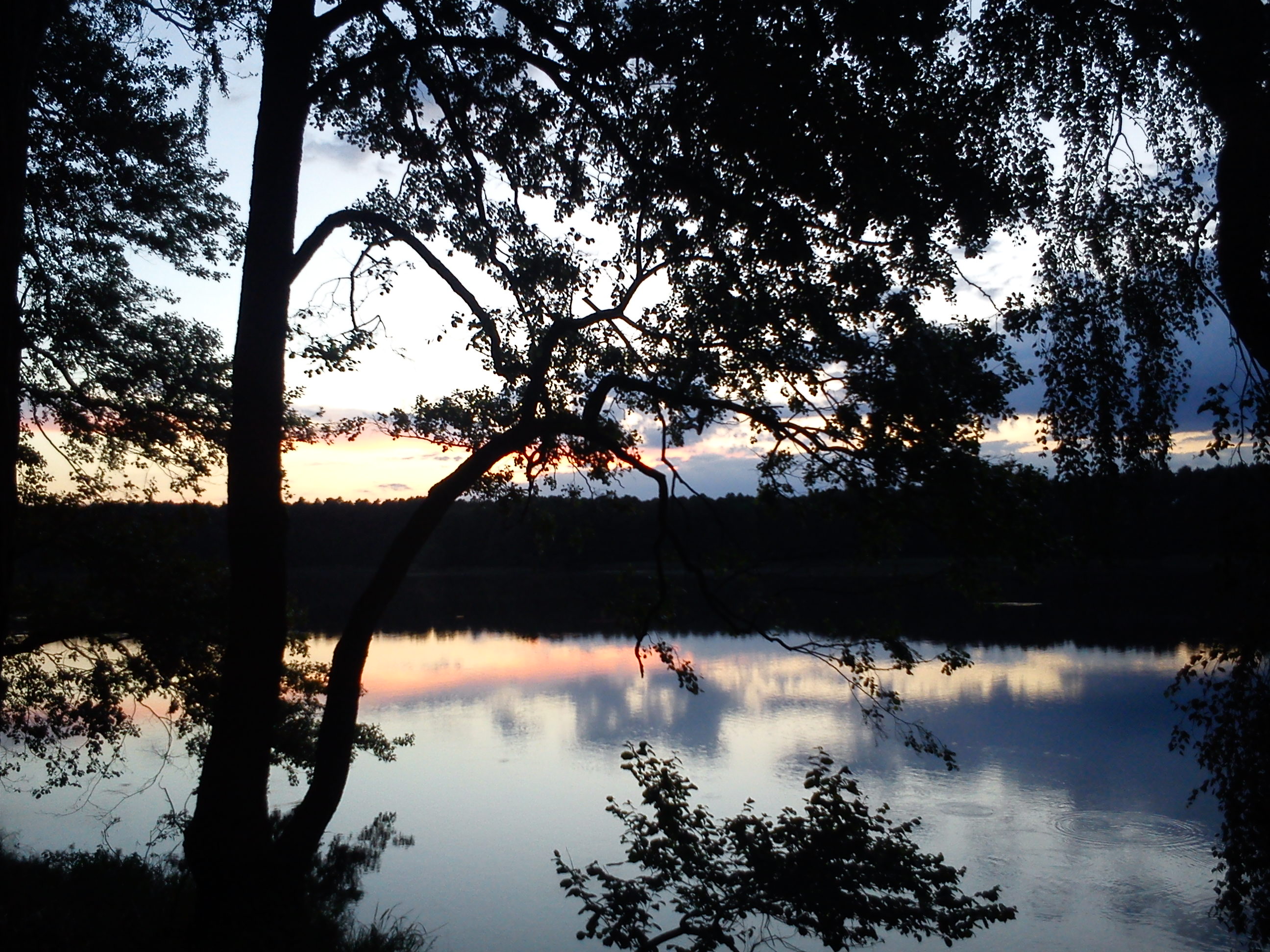 Wielickie Lake, Lubuskie