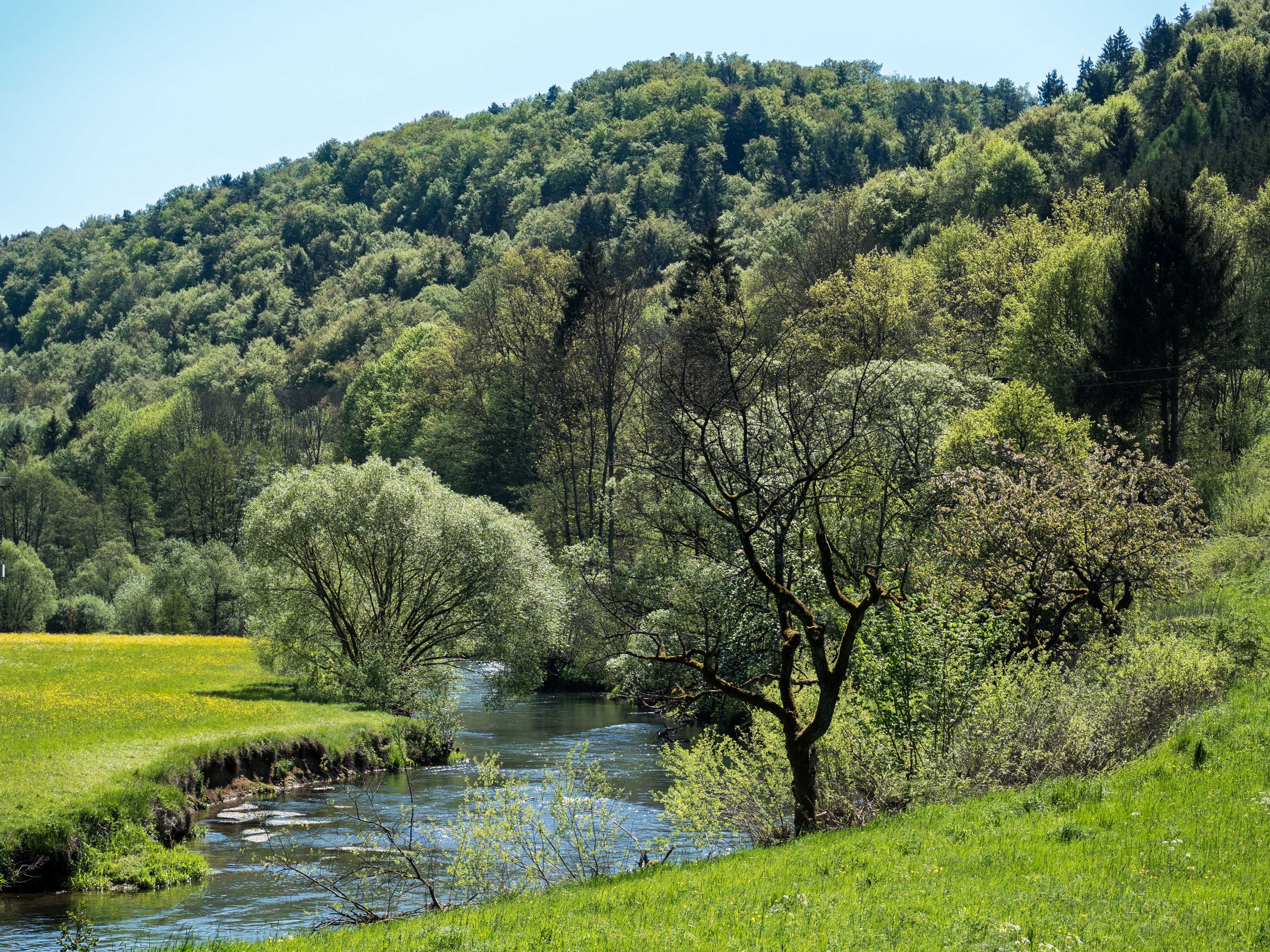 Wiesenttal-P5083471