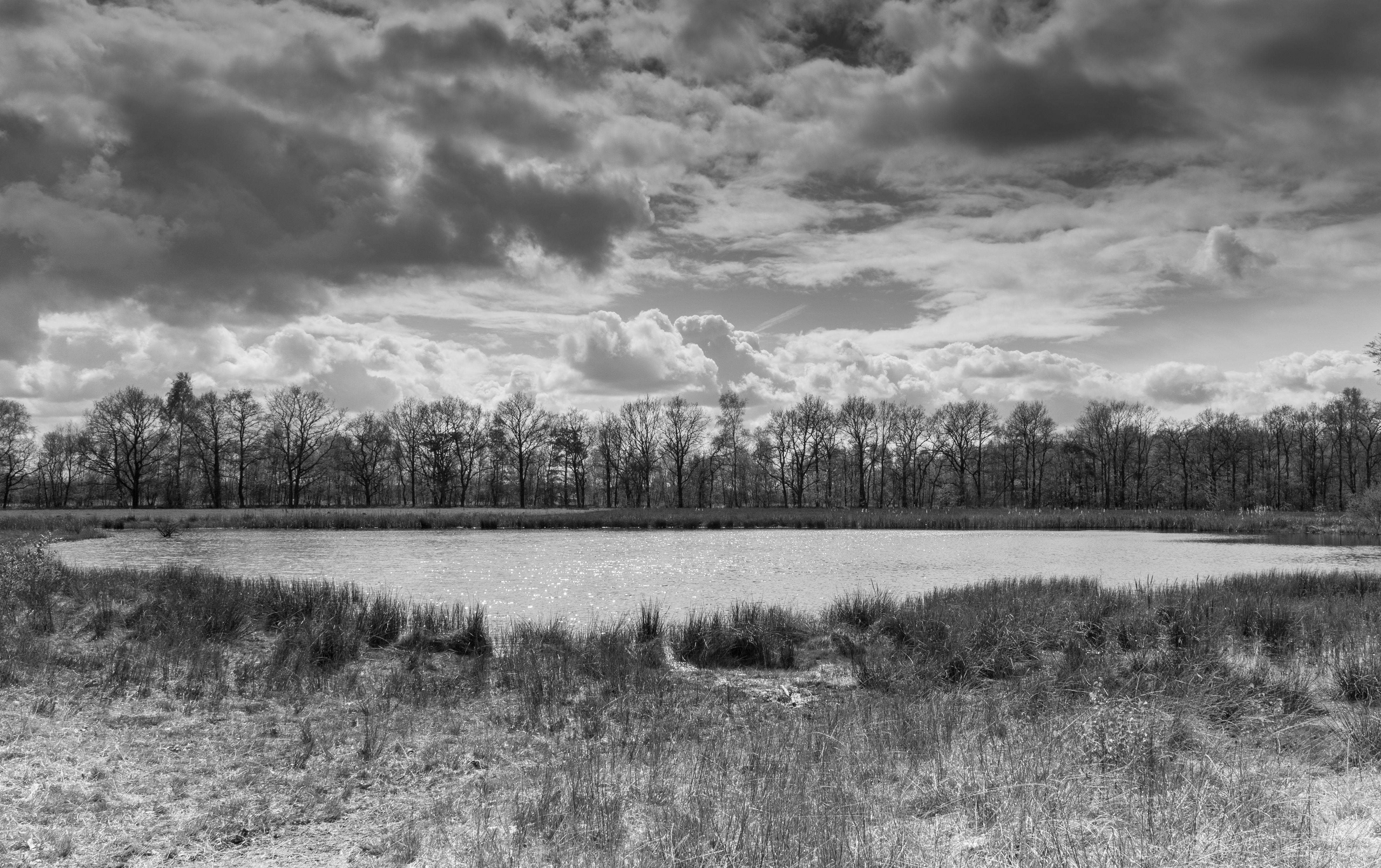 Wijnjeterper Schar, Natura 2000-gebied provincie Friesland zw b