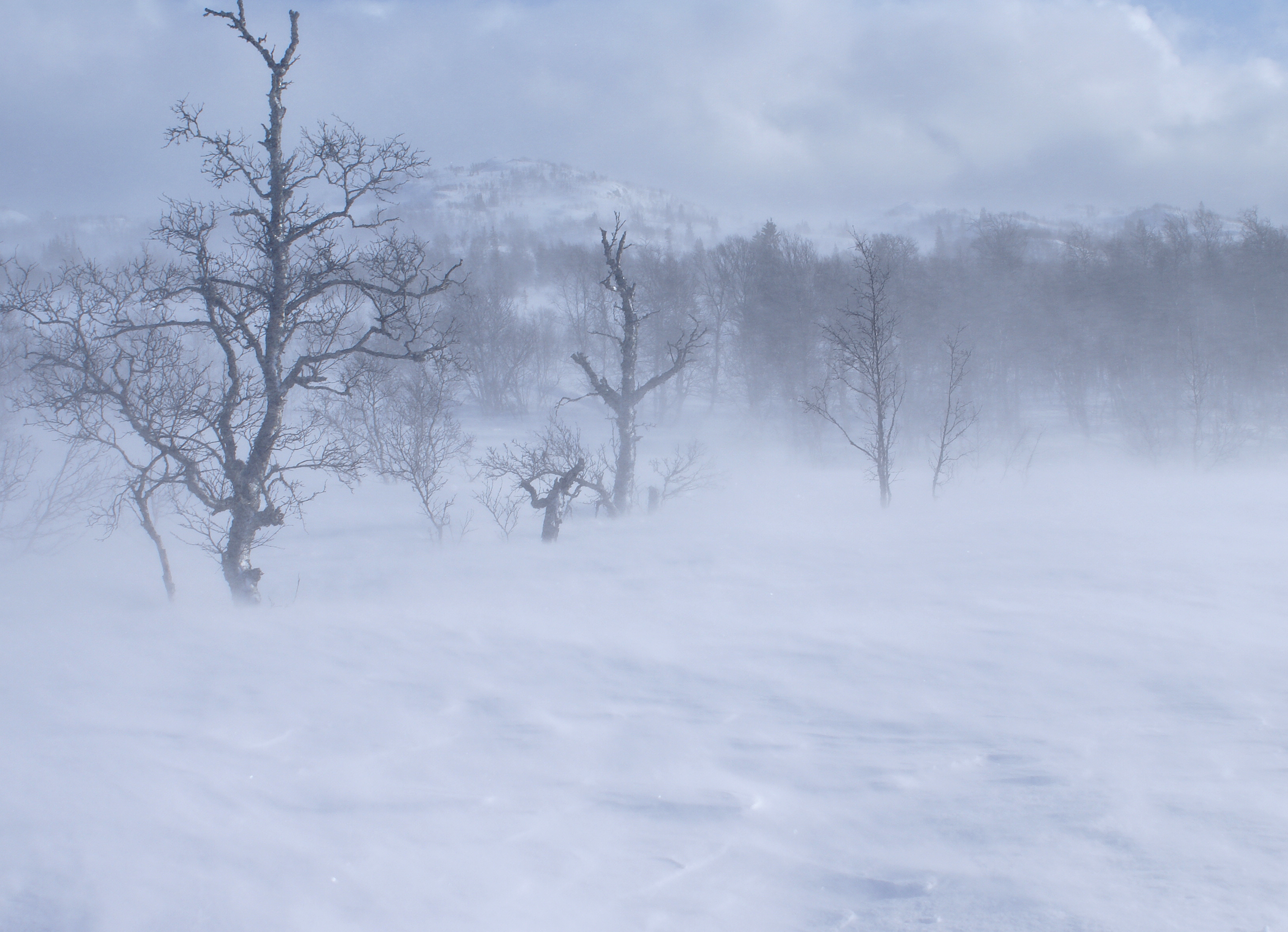 Wind (2304309134)