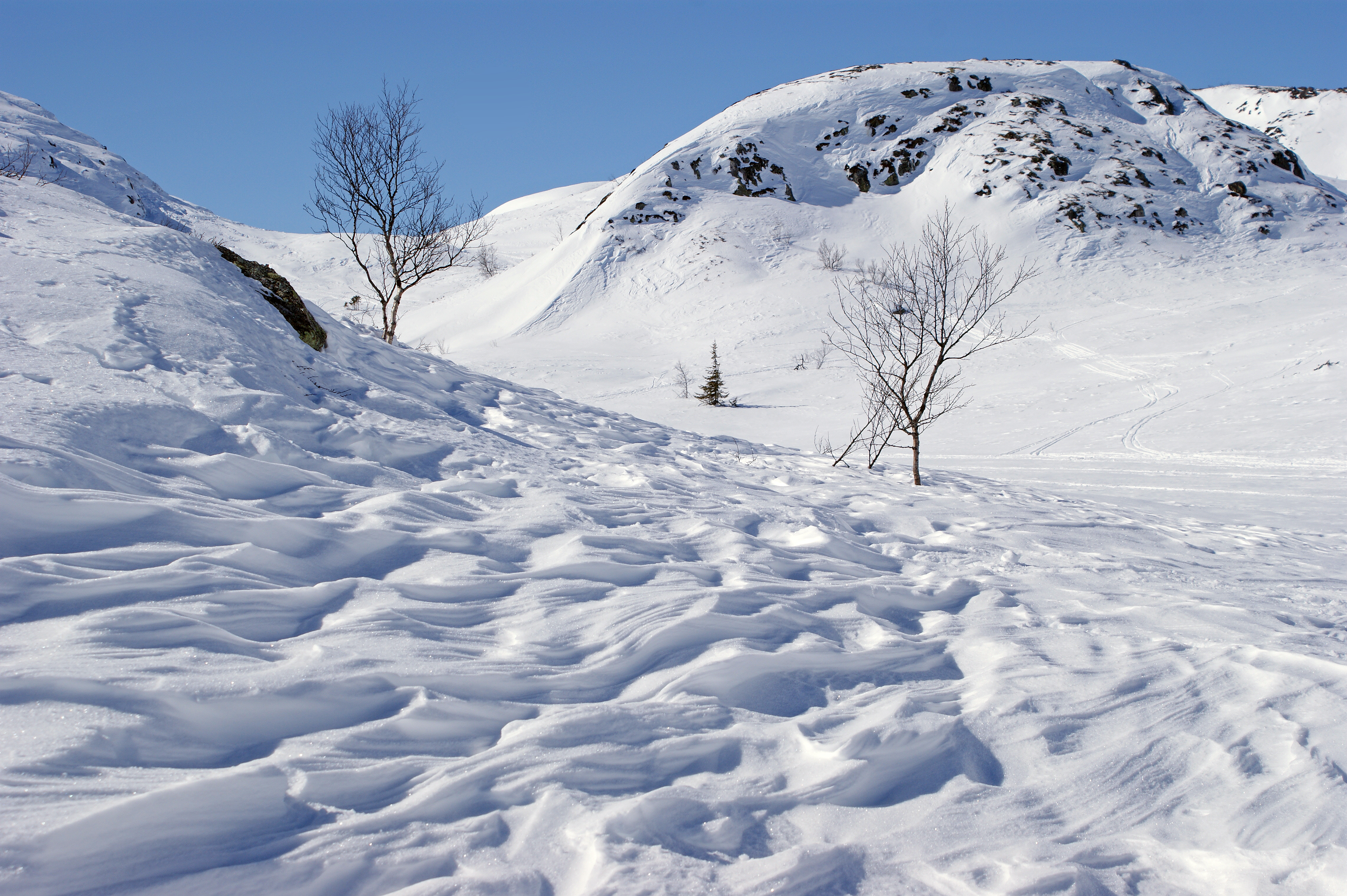 Wind blown from Seljord, Telemark, Norway (8633111650)