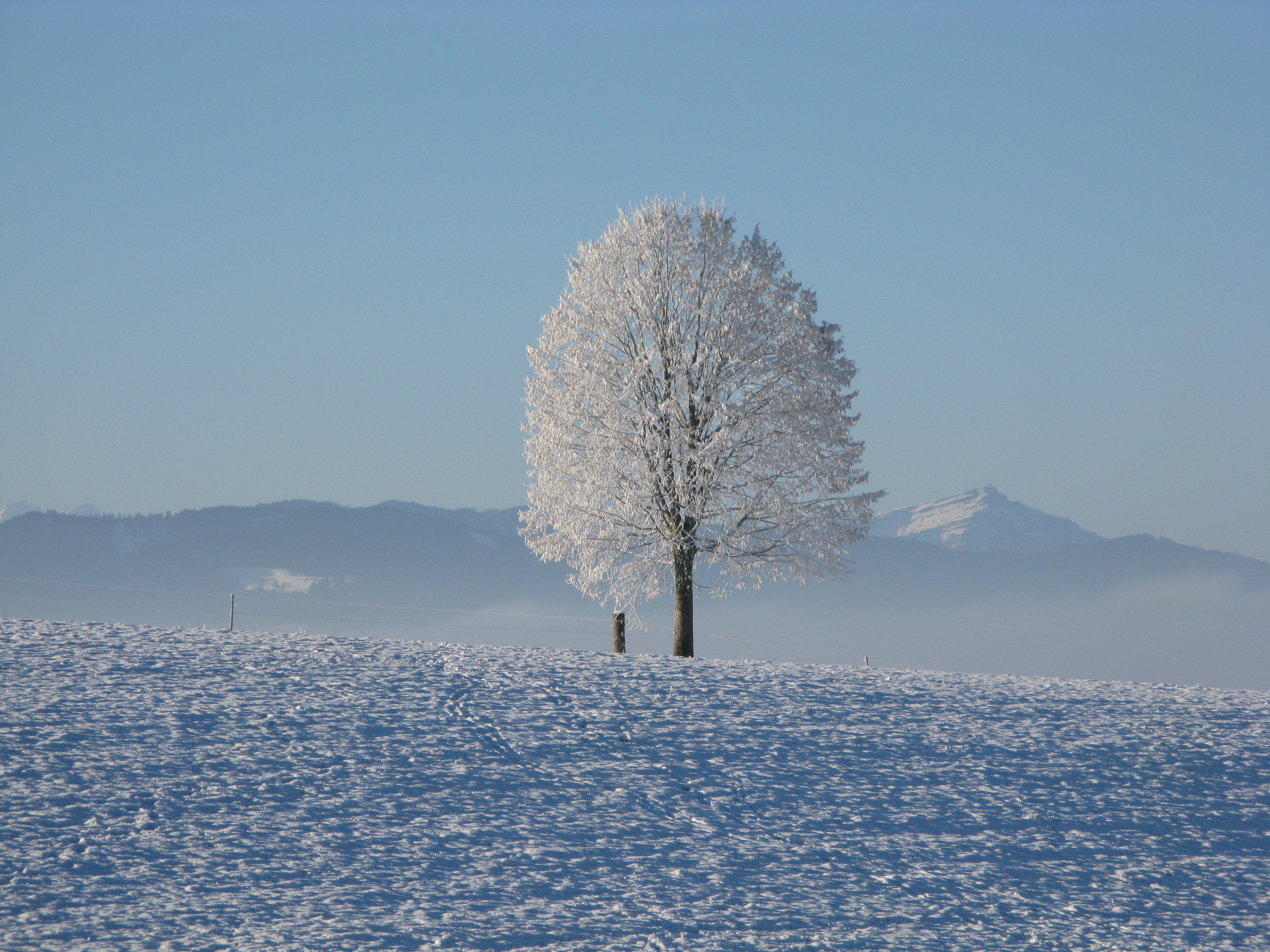 winter 198447