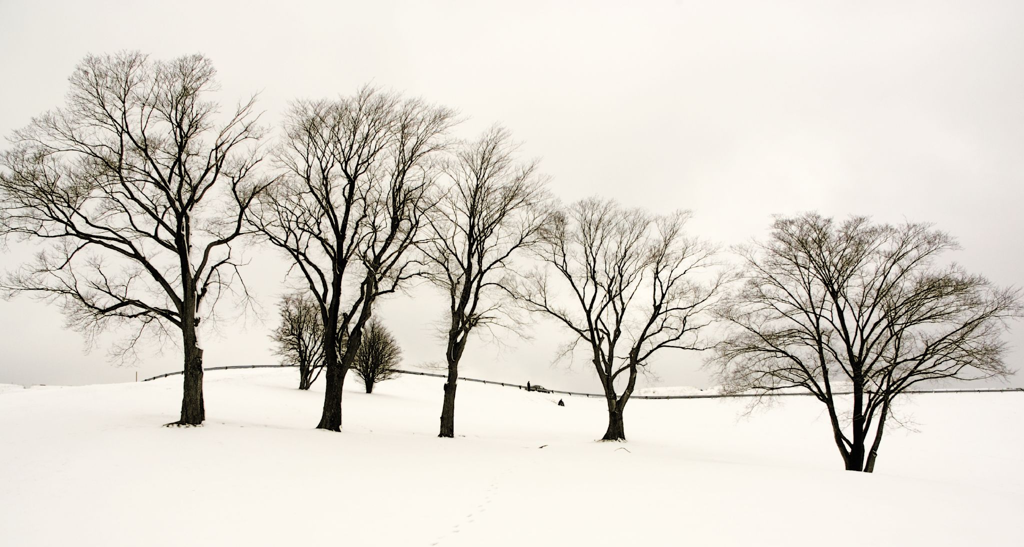 Winter (pmorgan)