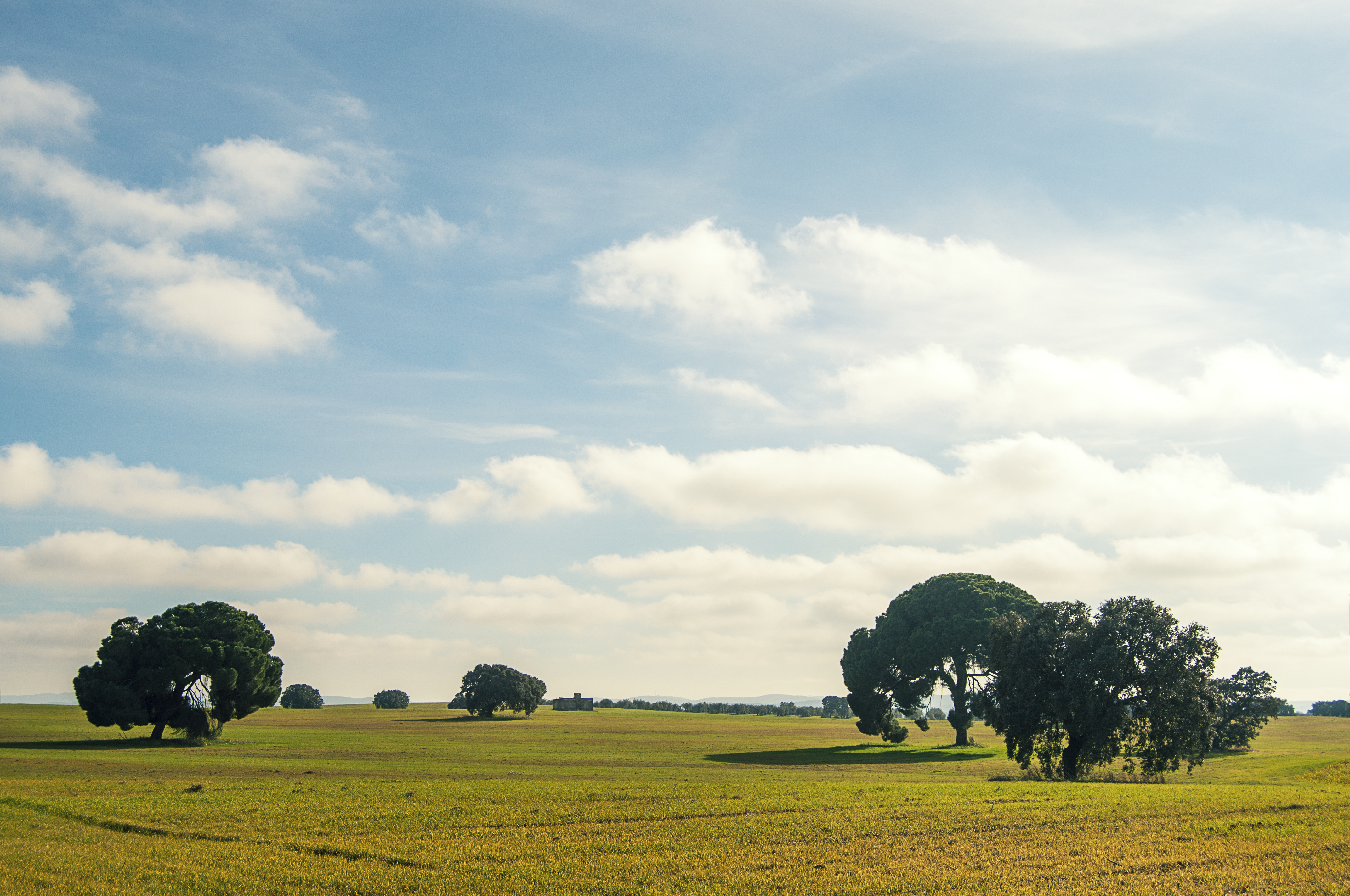Winter in Extremadura (I) (12240583446)
