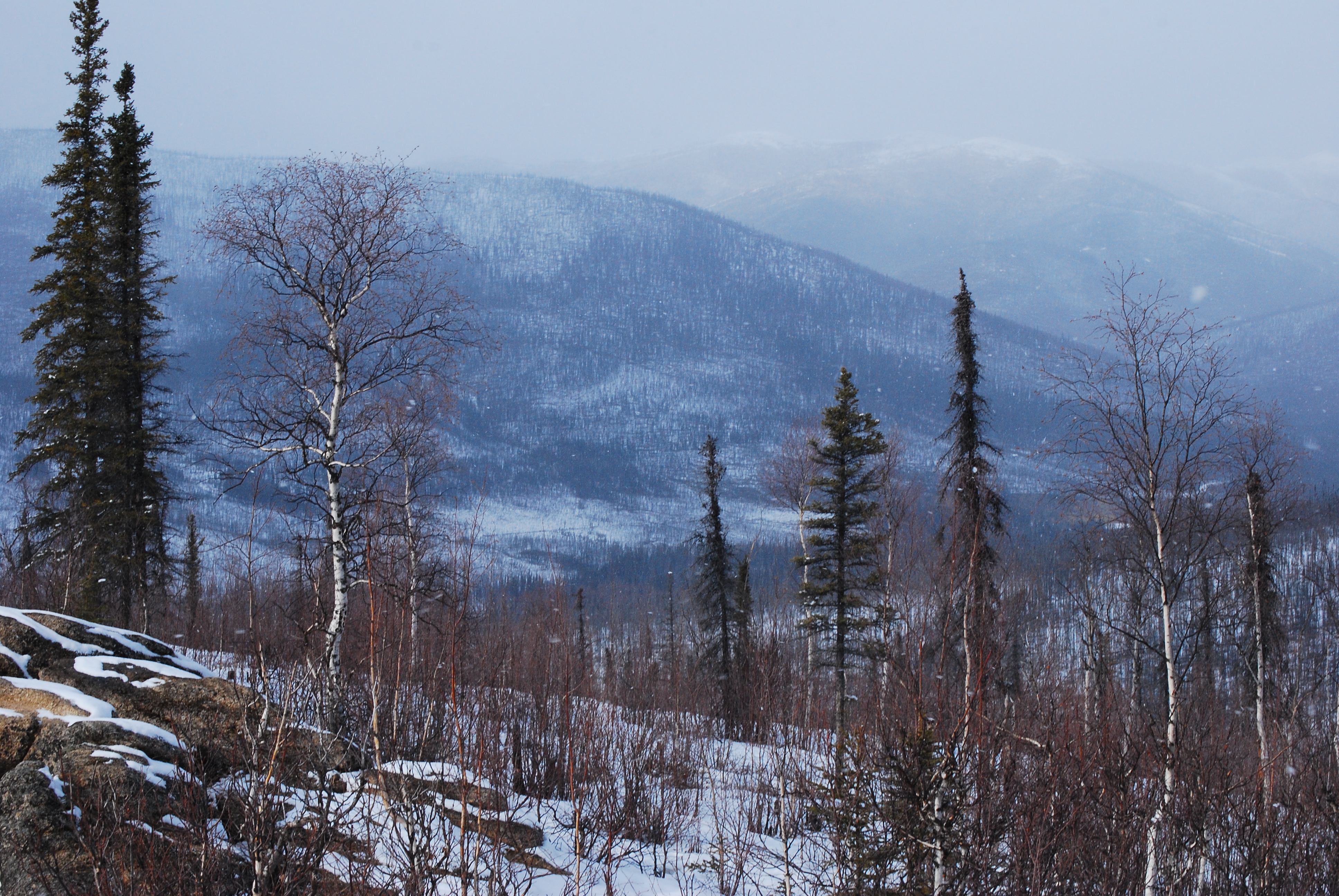 Winter's Departure