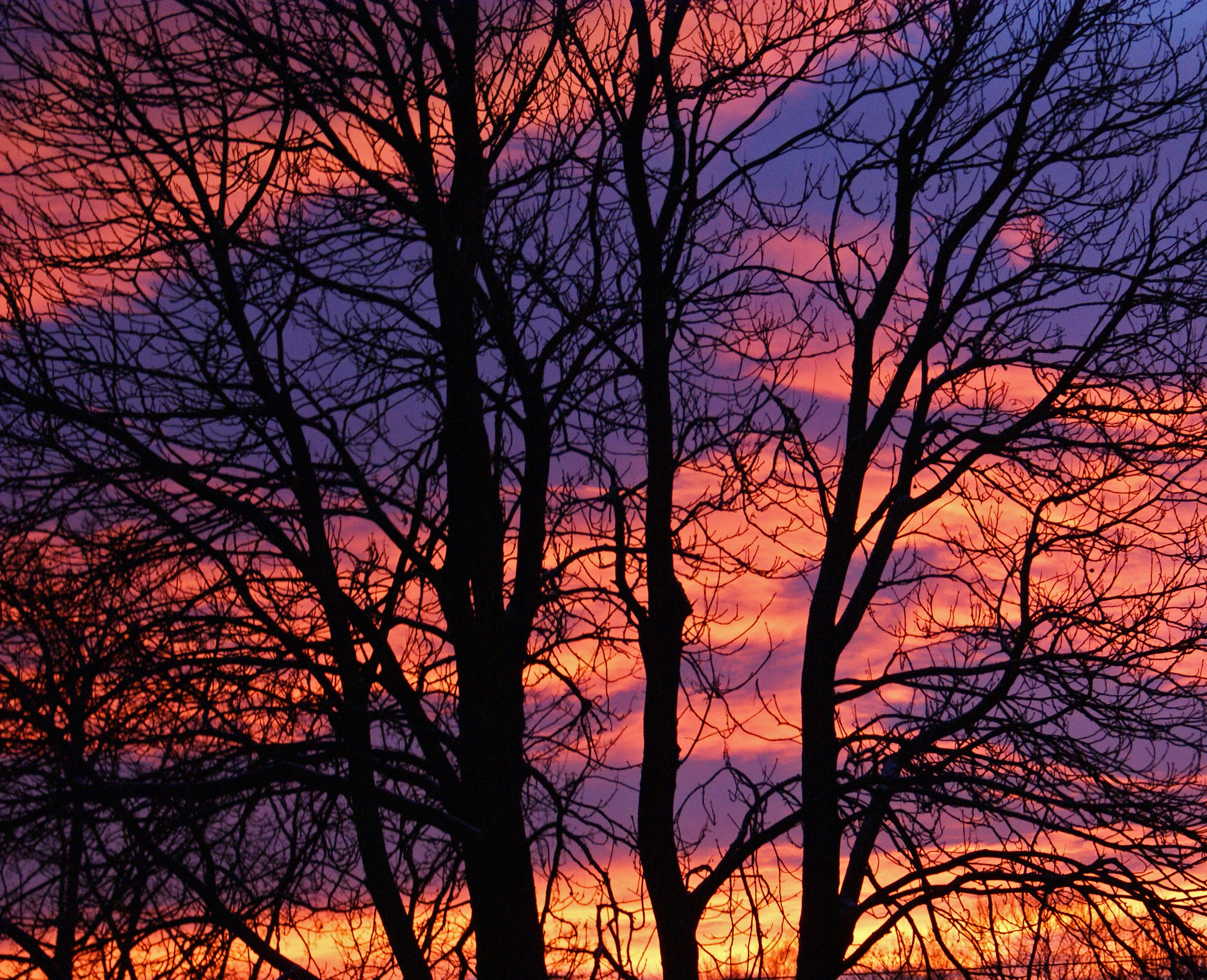 Winter sunset (3181572967)
