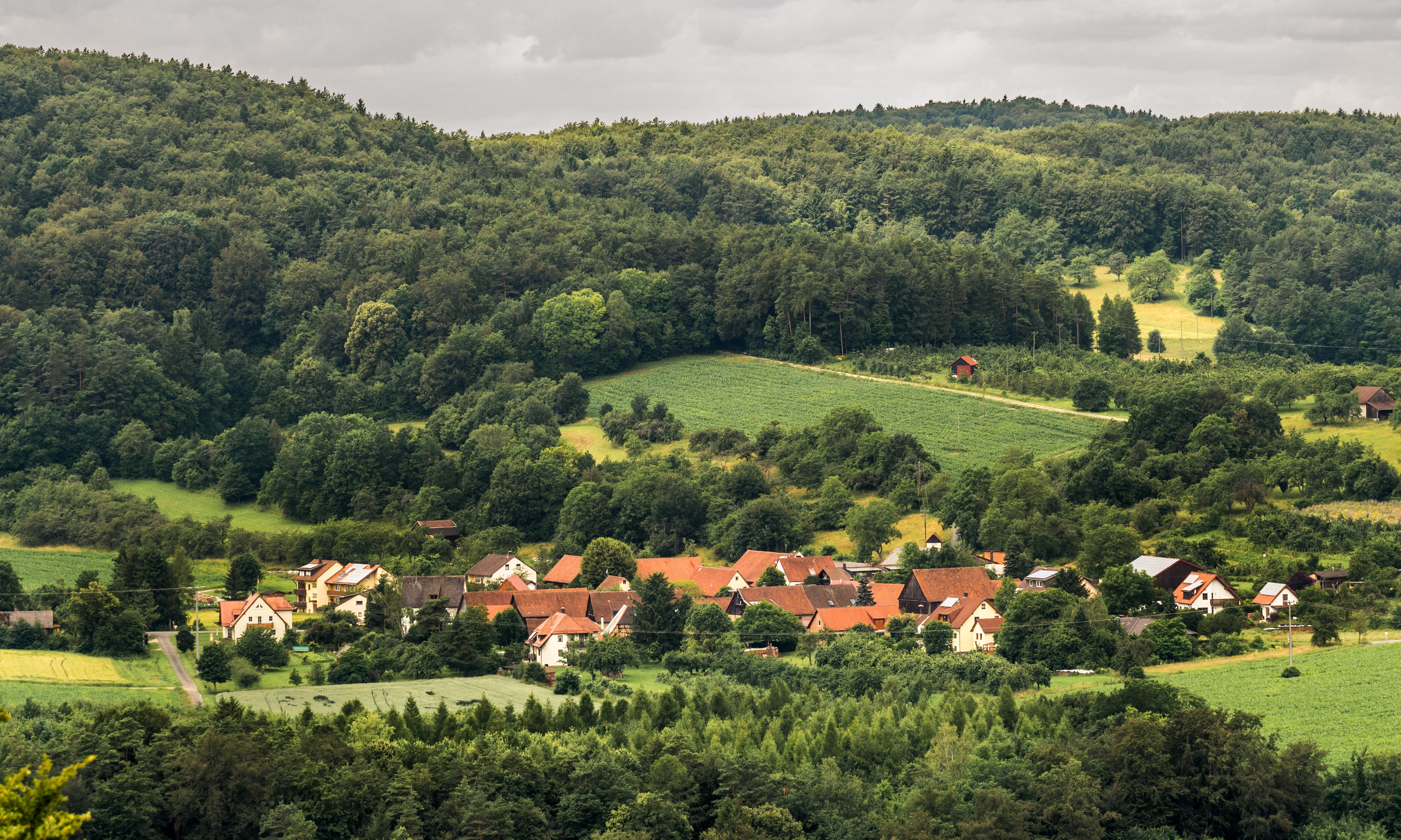 Wohlmannsgesees-7038947