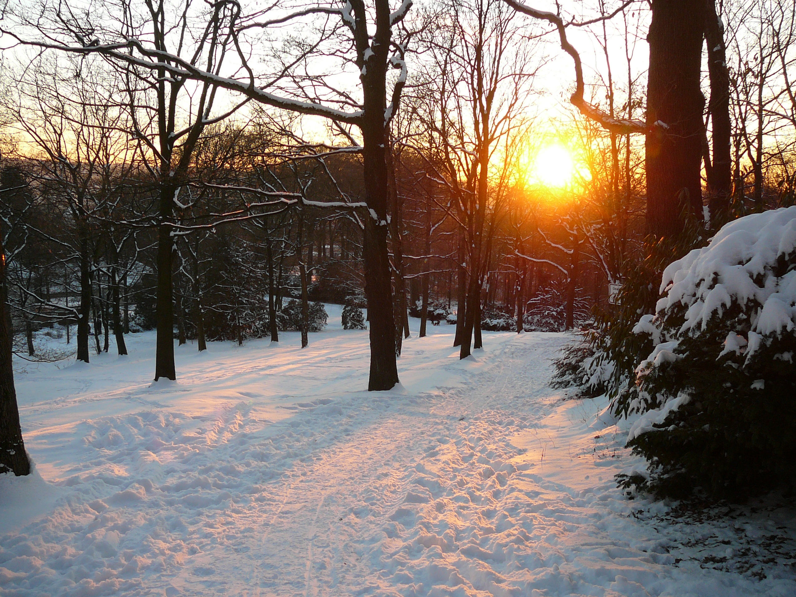 Wuppertal Nordpark 0004