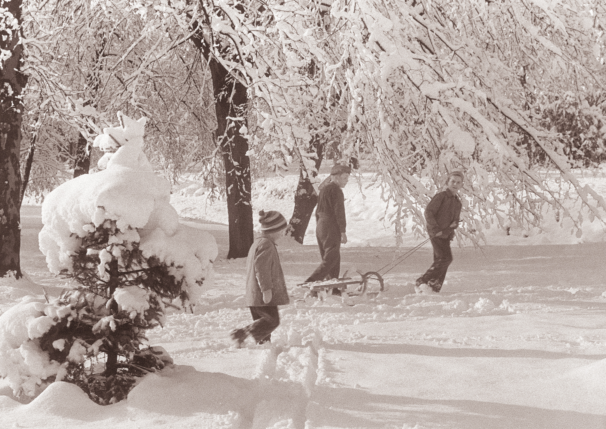 Zima v mestnem parku 1961 (2)