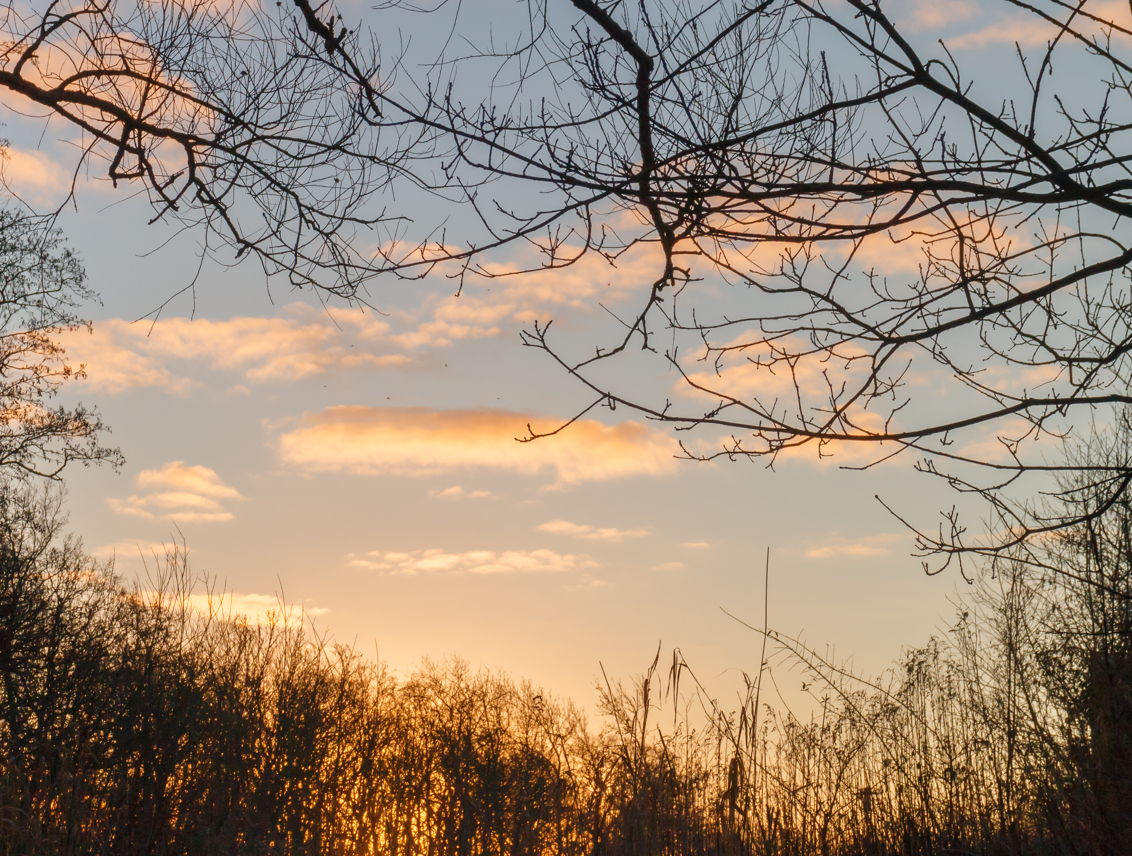 Zonsopgang op De Famberhorst 03