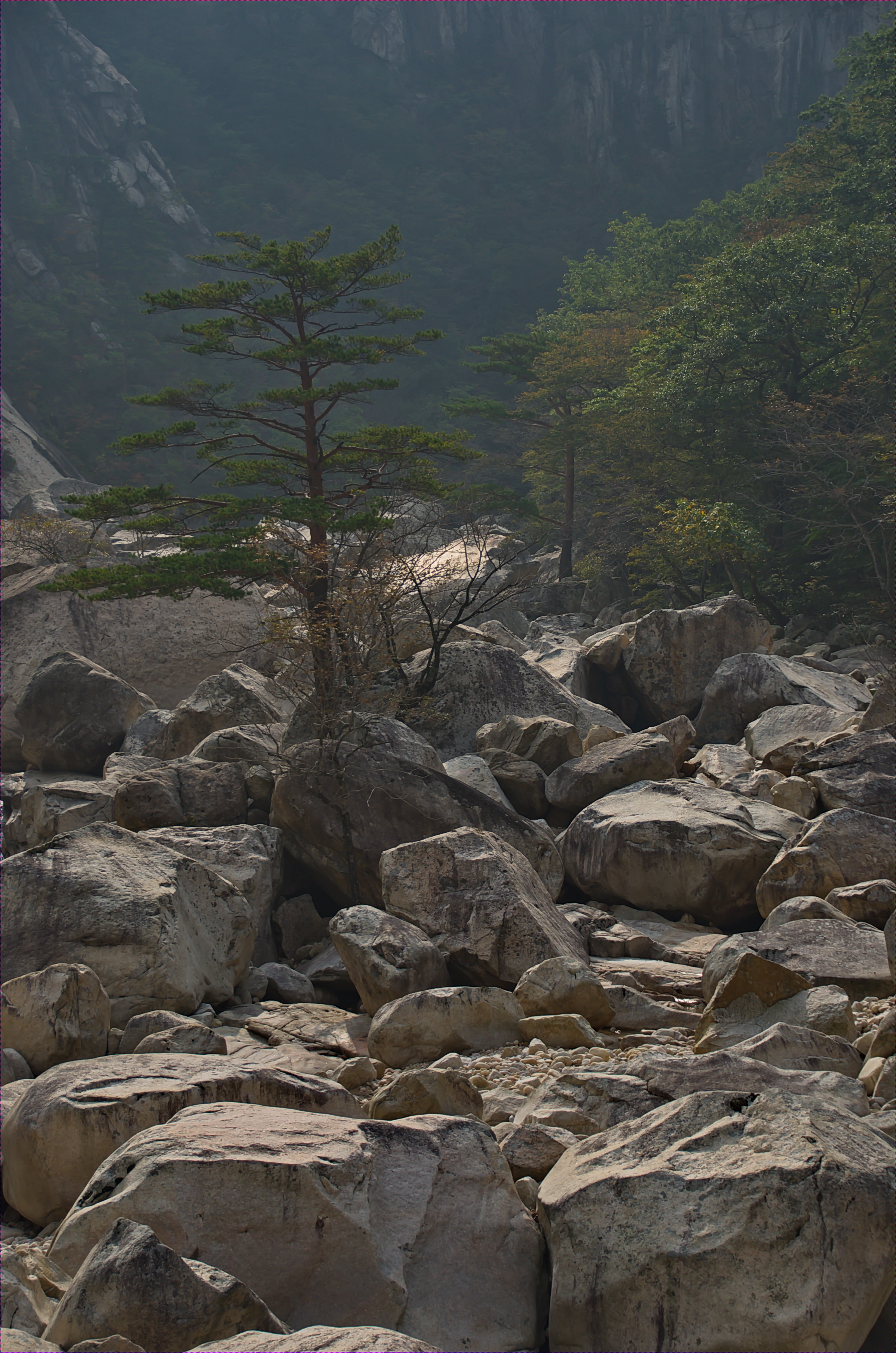 0350 - Nordkorea 2015 - Kumgang Gebirge (22936882316)
