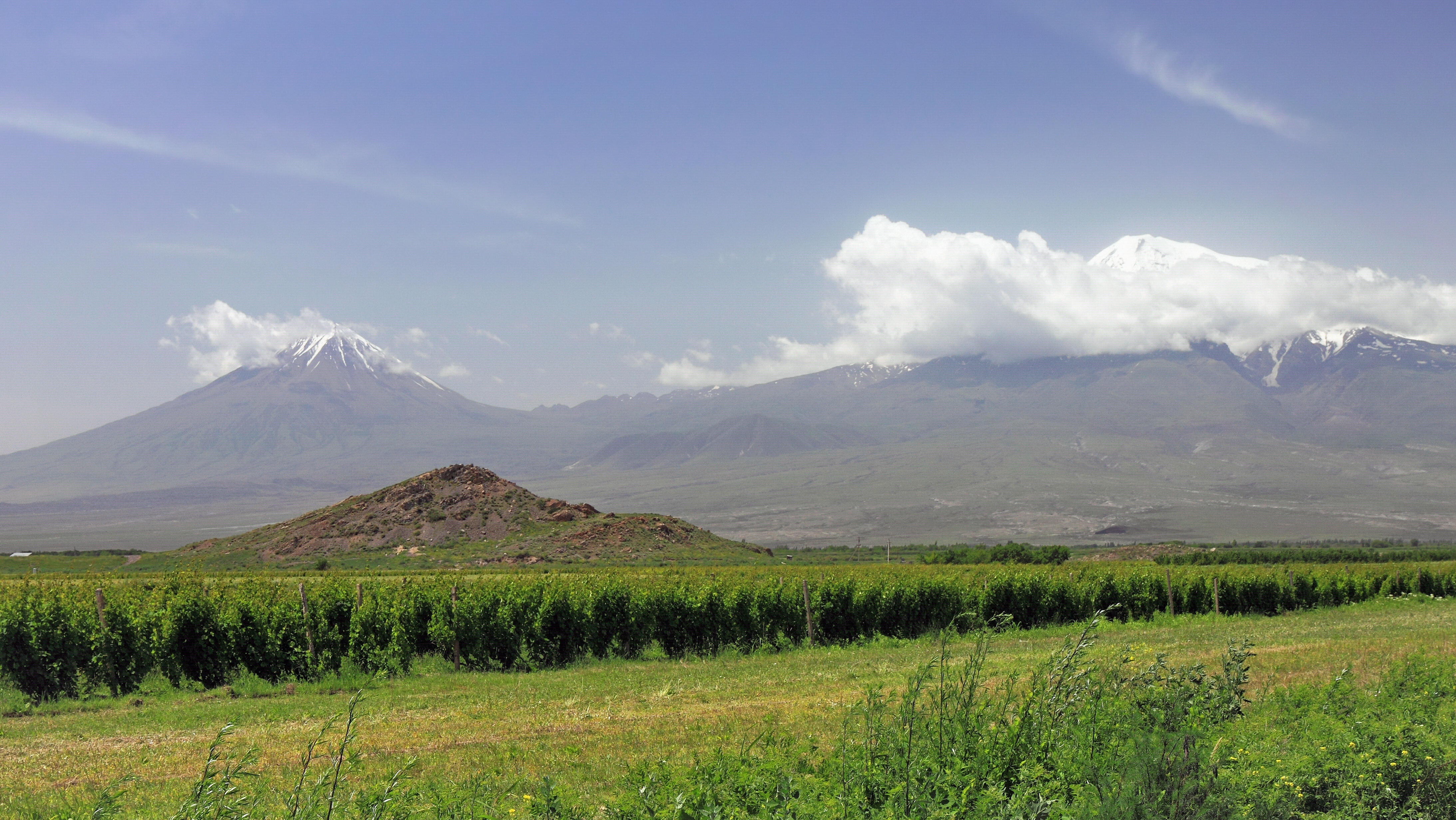 2014 Prowincja Ararat, Widok na Ararat (01)