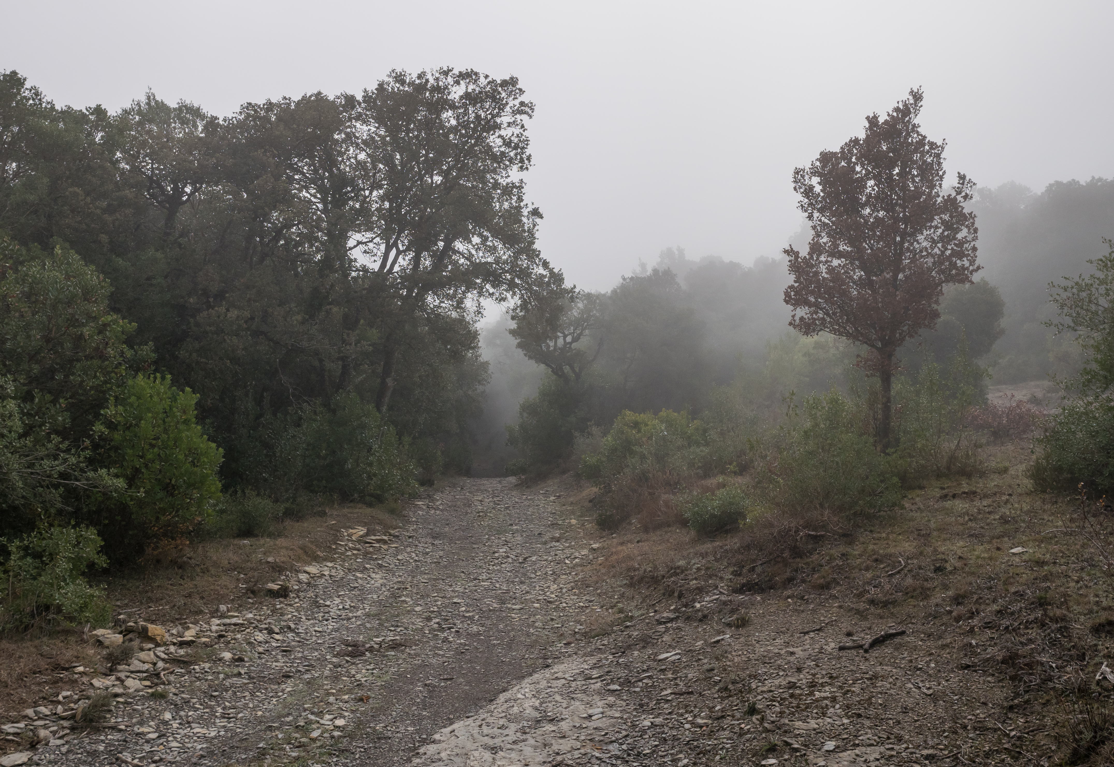 Badaia - Barranco de los Goros - Camino 01