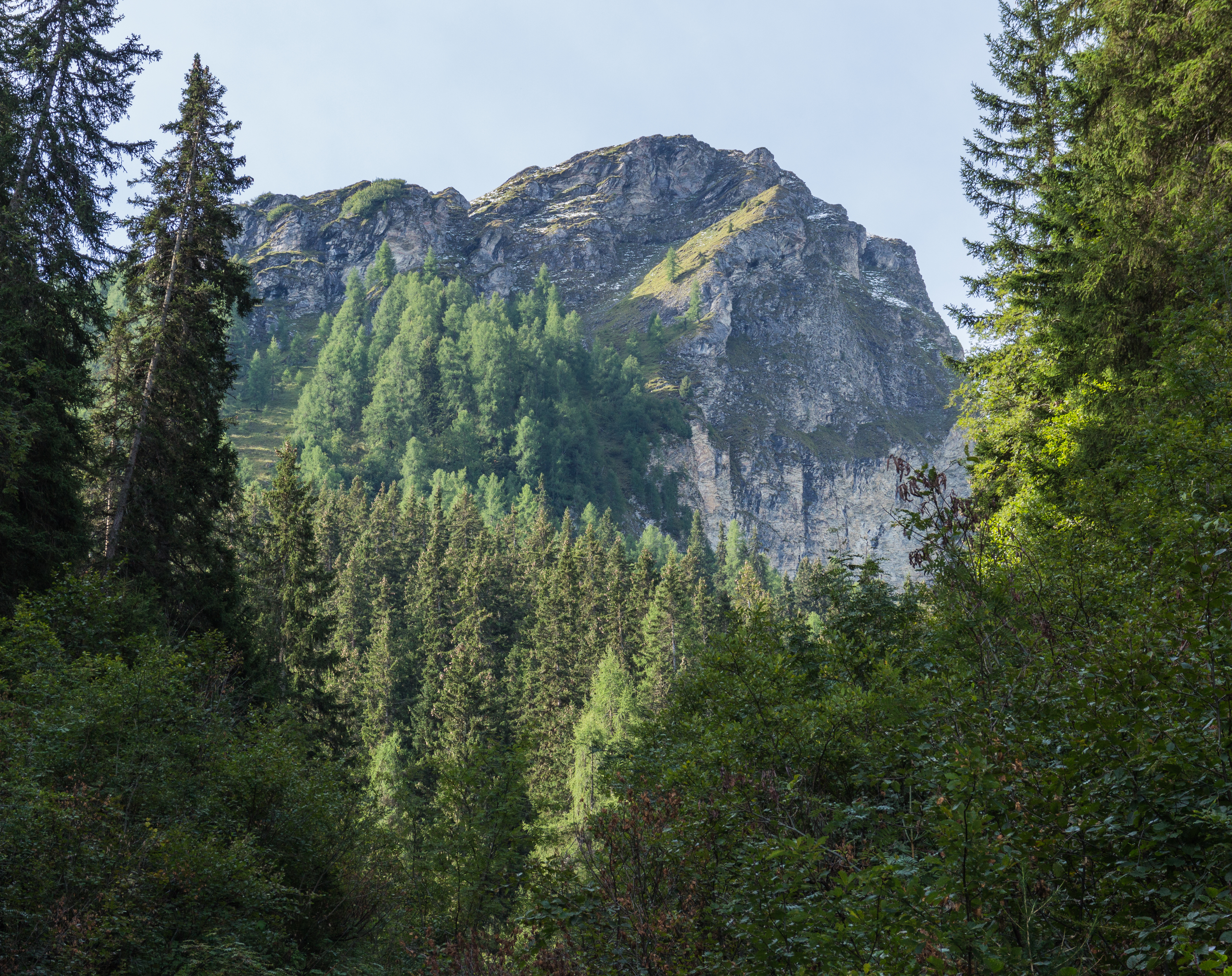Bergtocht van Tschiertschen (1350 meter) naar Ochsenalp (1941 meter) 15