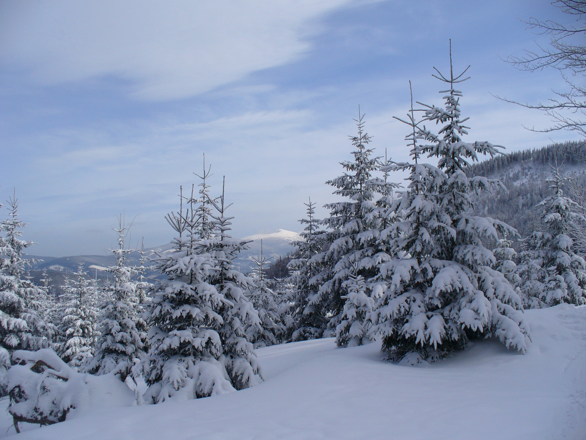 Beskid Żywiecki - winter 2008
