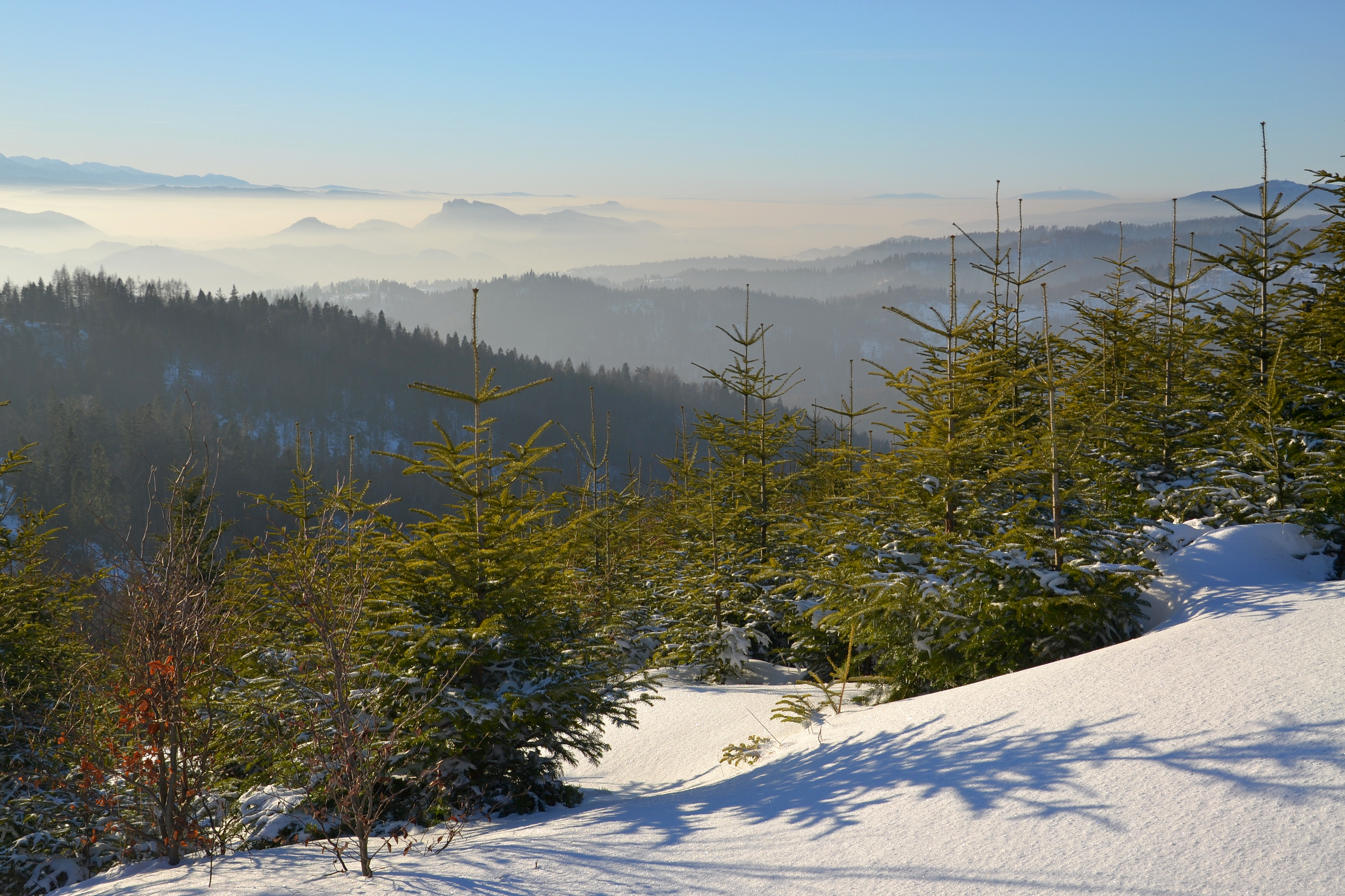 Beskid Sądecki - winter 2016