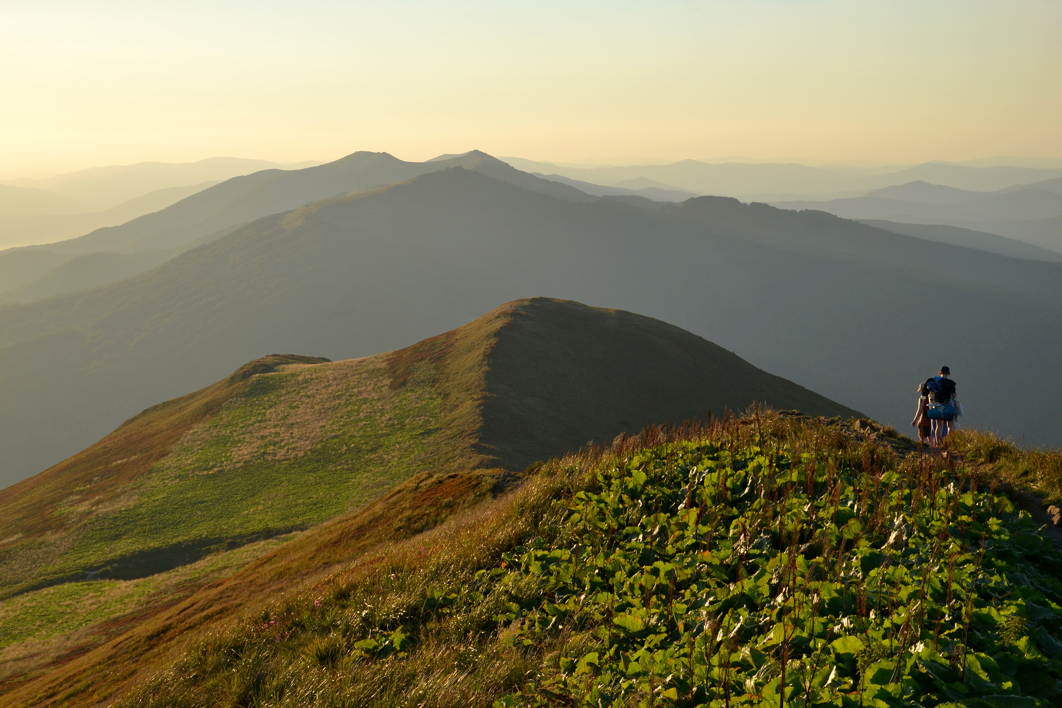 Bieszczady, Połonina Caryńska in the evening 02
