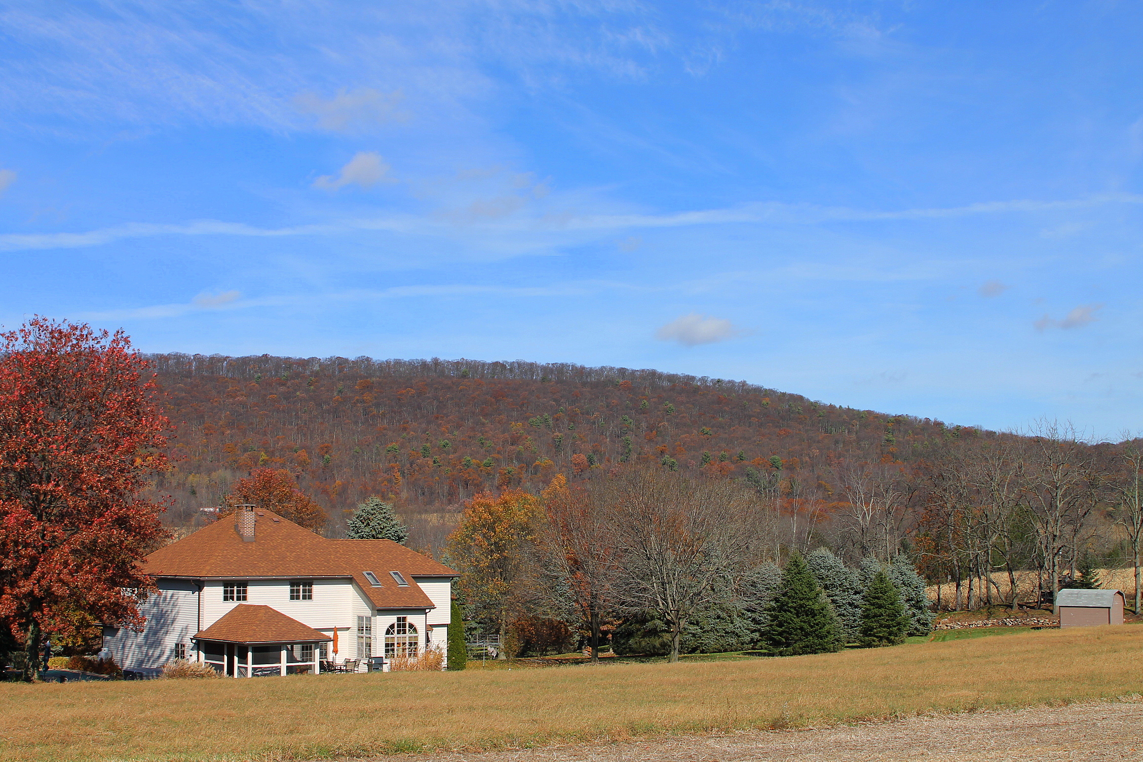 Catawissa Mountain from the west in November (2)
