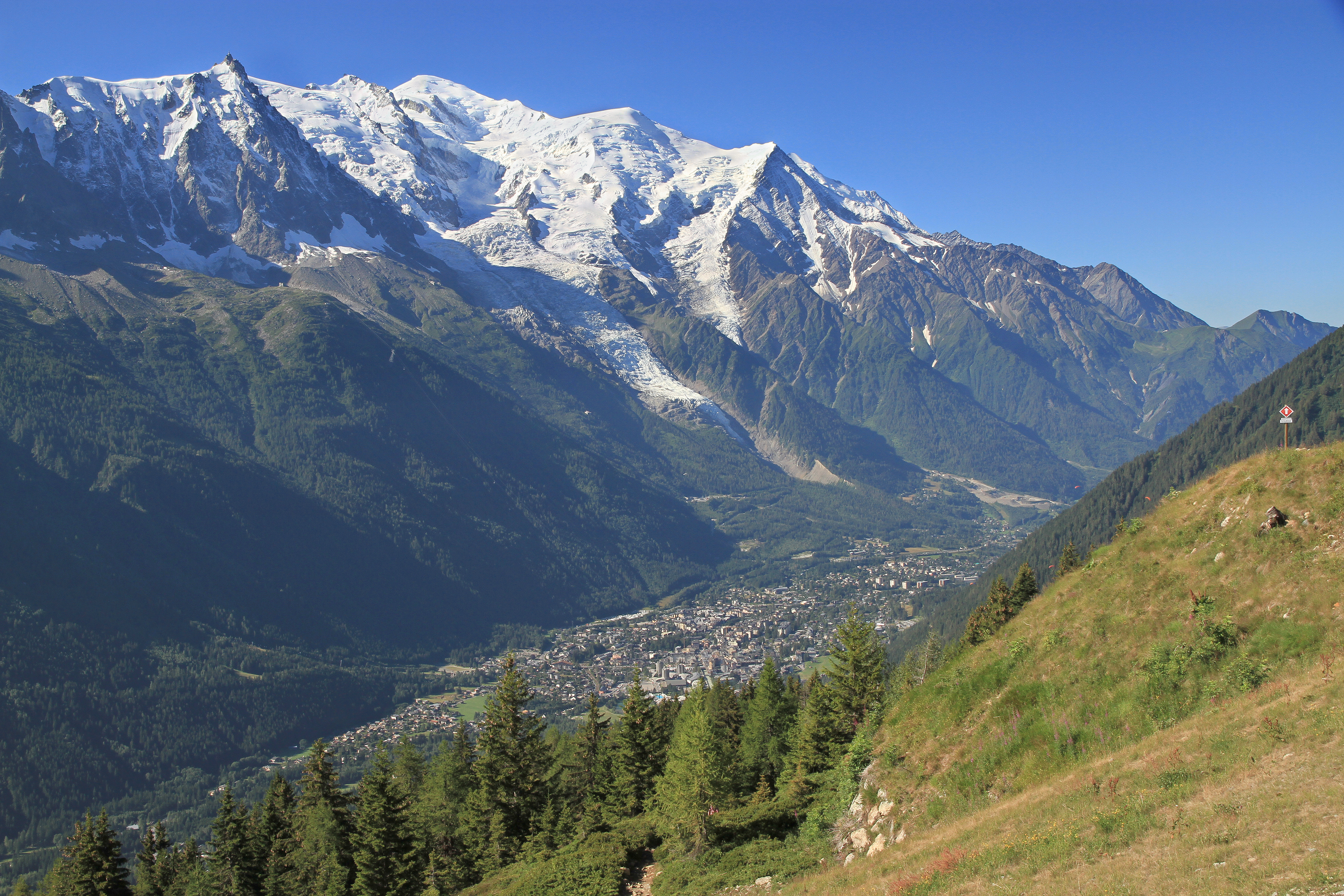 Chamonix valley from la Flégère,2010 07