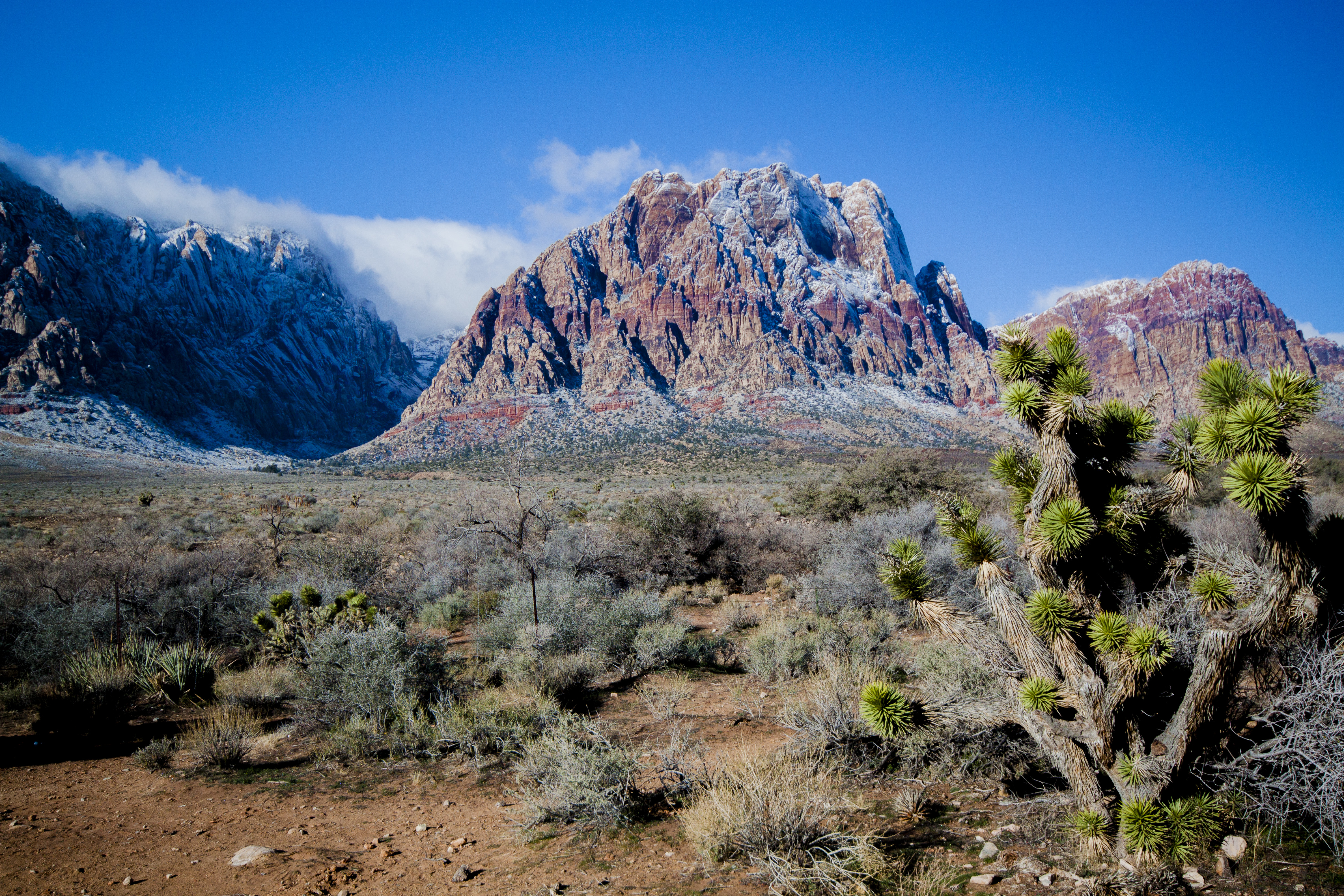 Dust the Mountain (19356283983)
