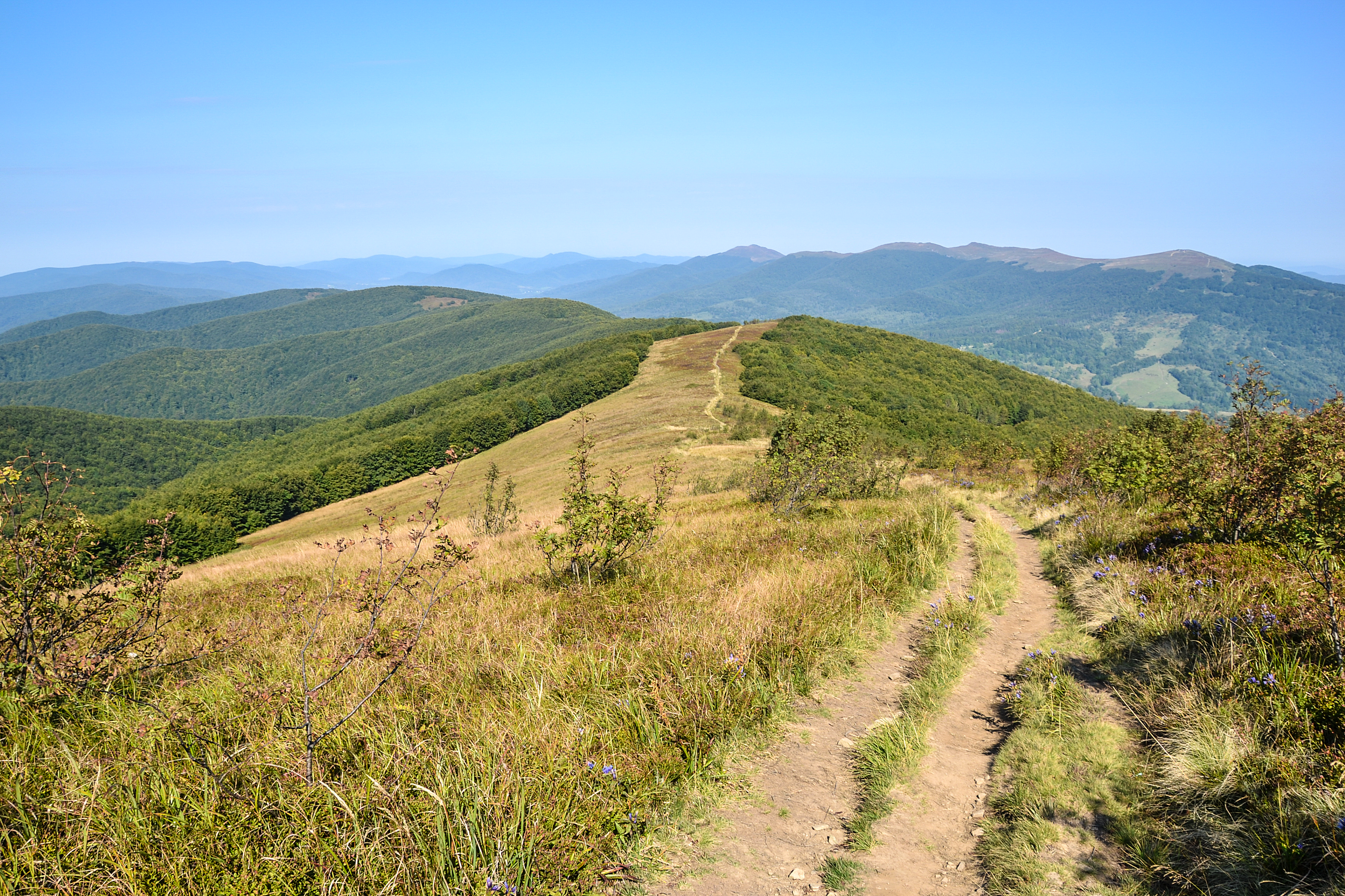 Dział, Bieszczady