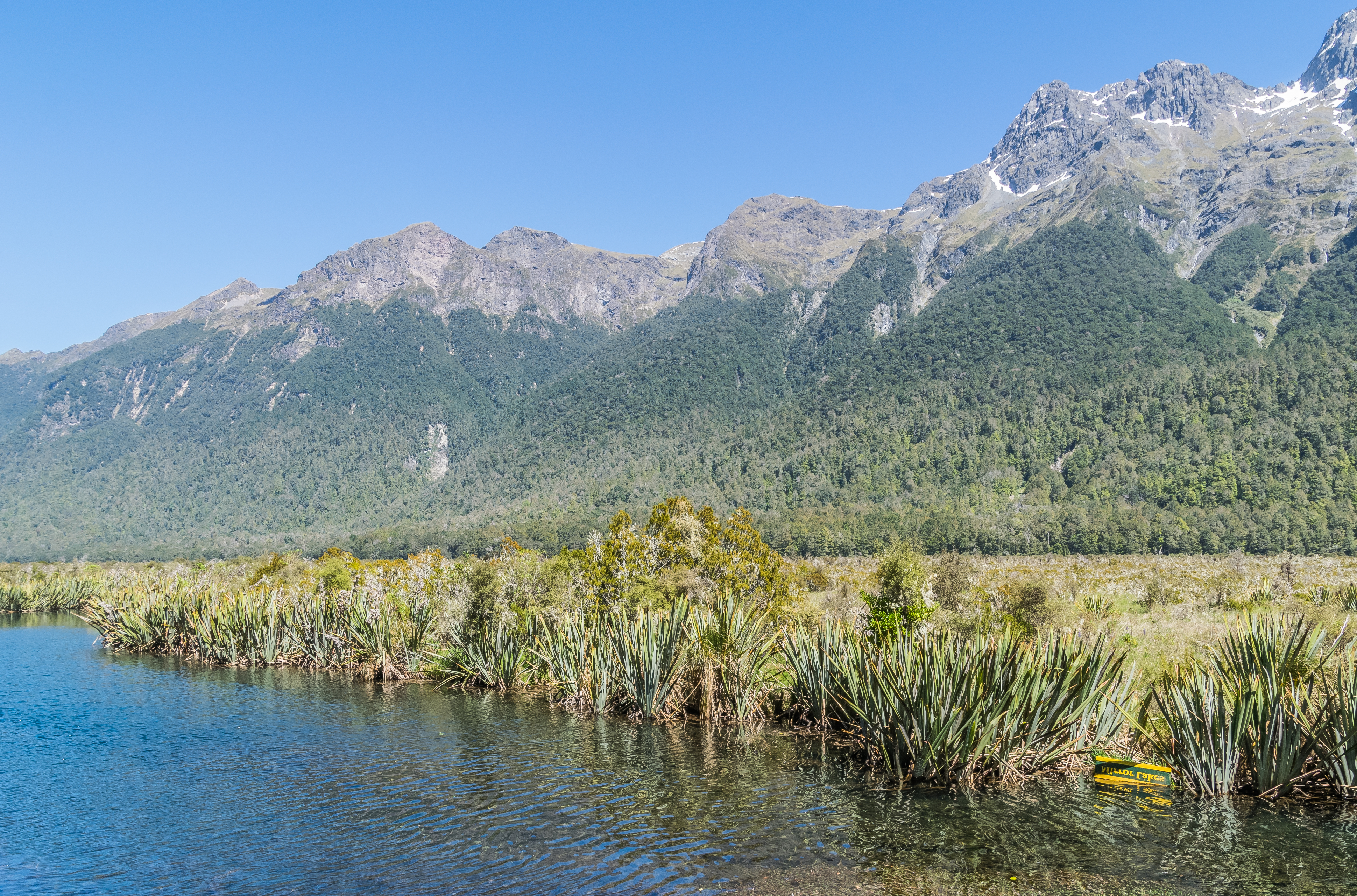 Earl Mountains NZ 04