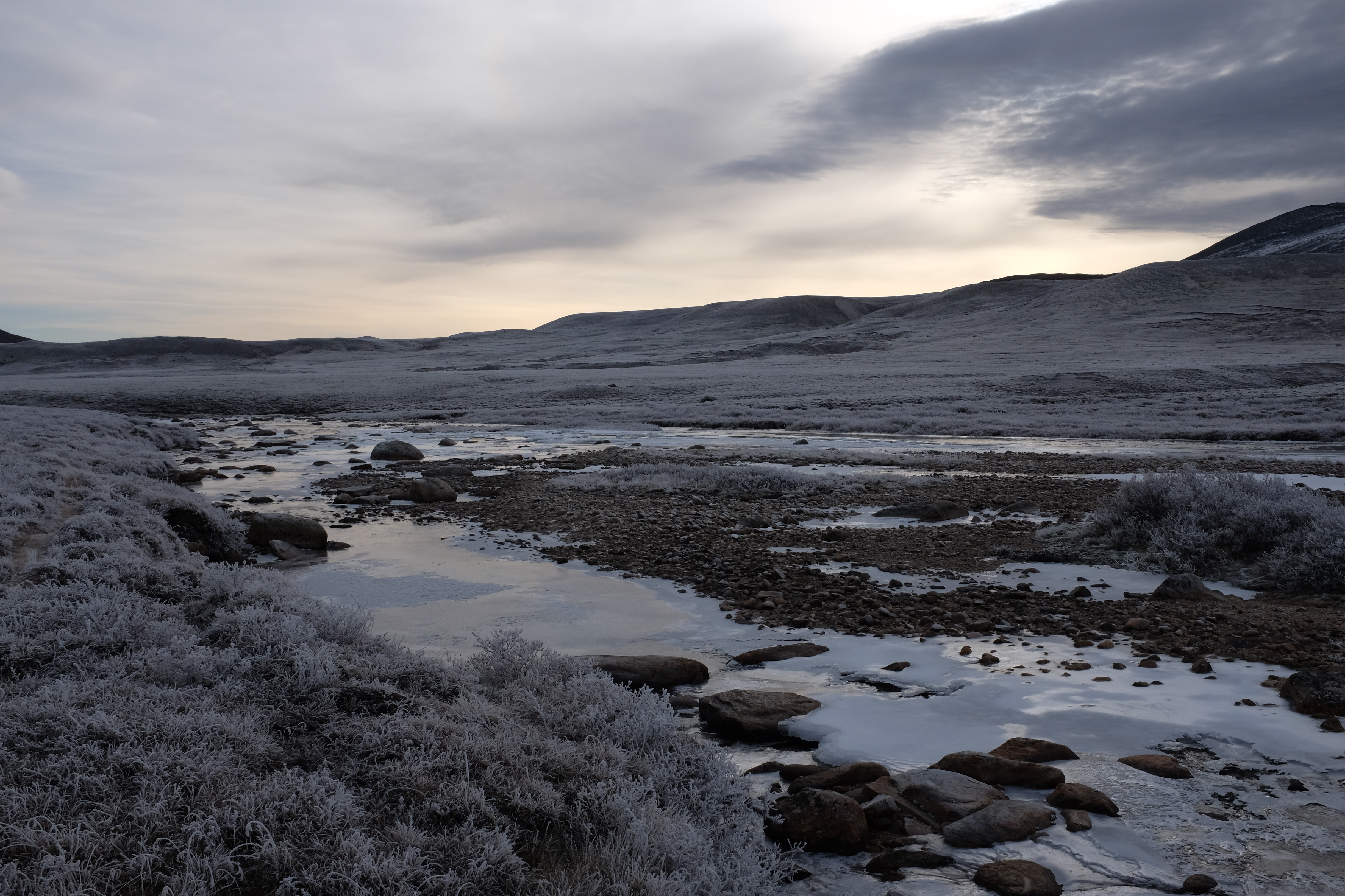 Frozen ground in Stroplsjødalen valley in Dovrefjell National Park, Norway