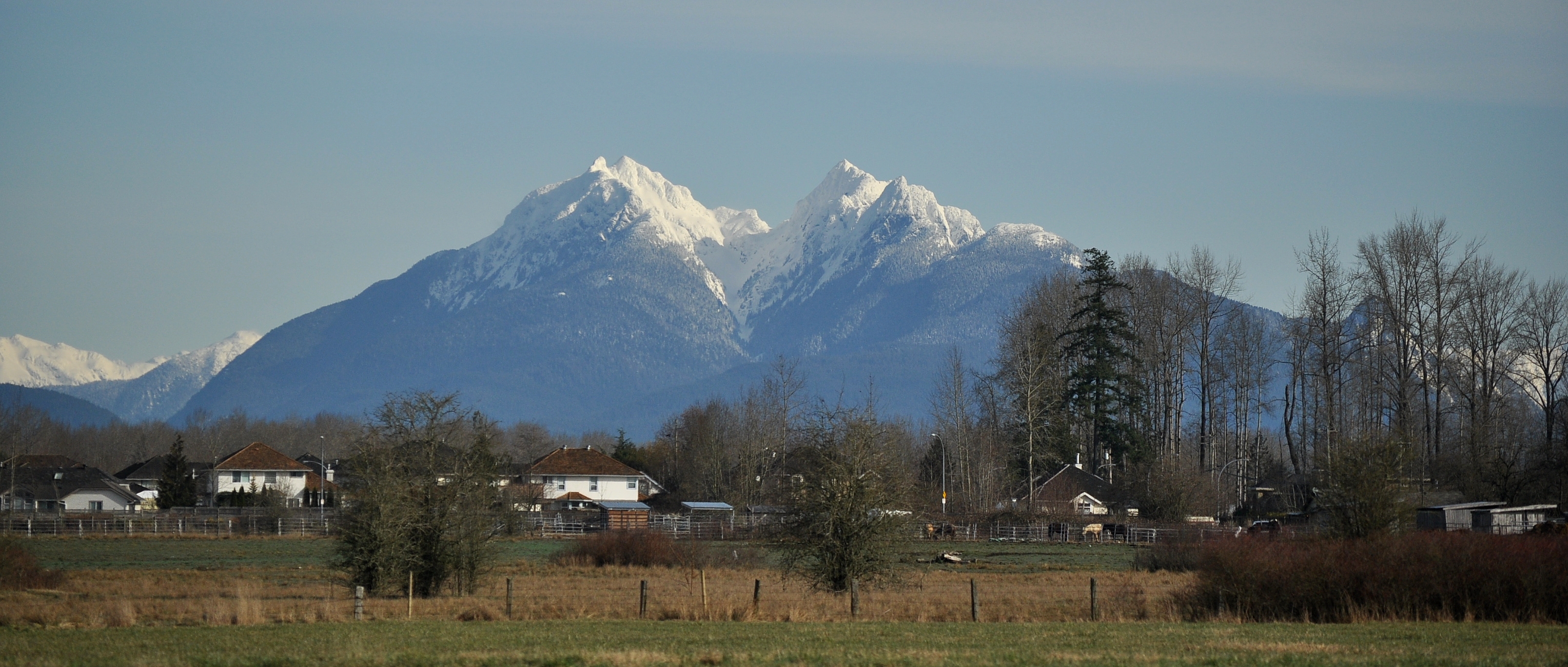 Golden Ears again