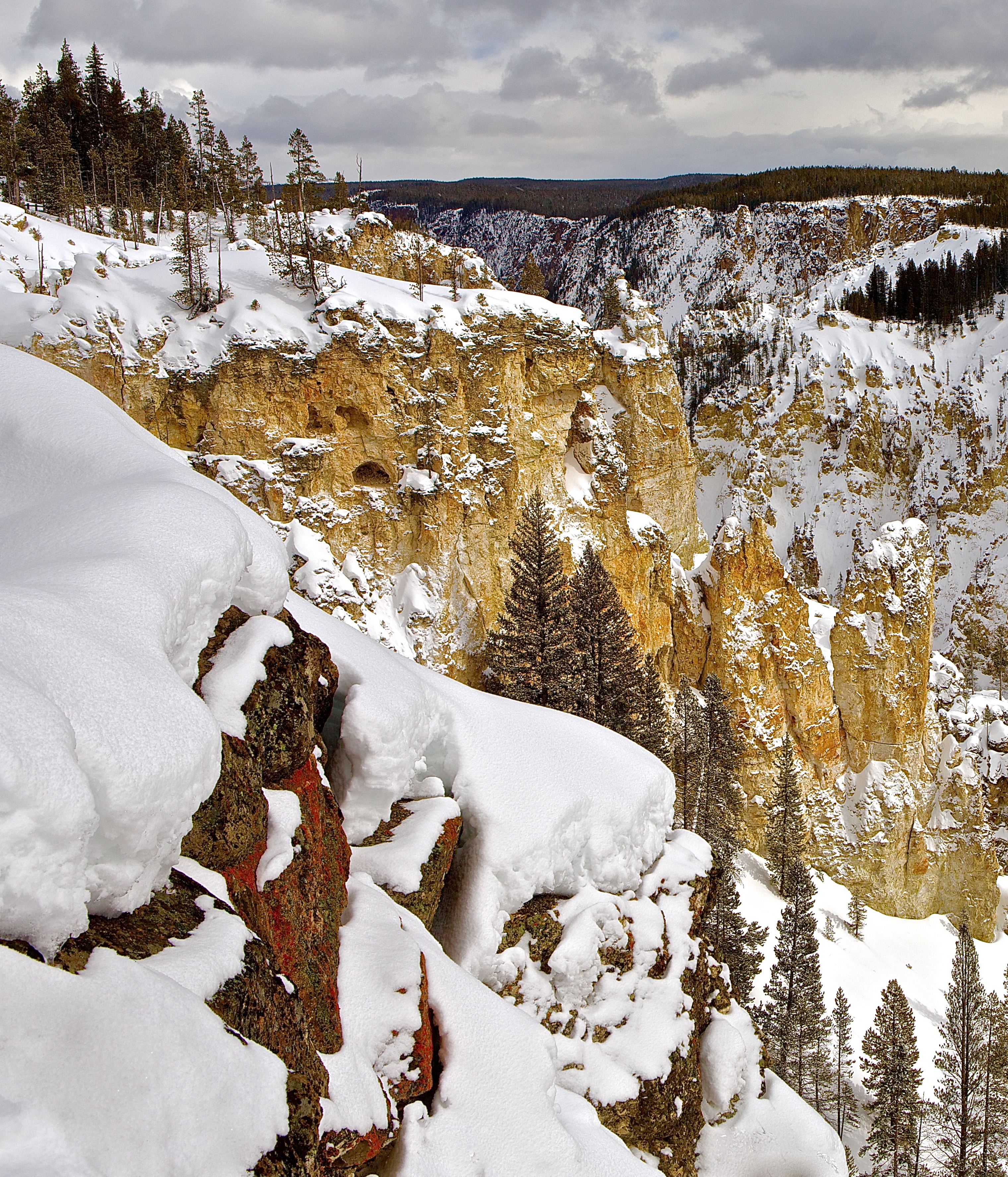 Grand Canyon of Yellowstone National Park - Approaching Storm