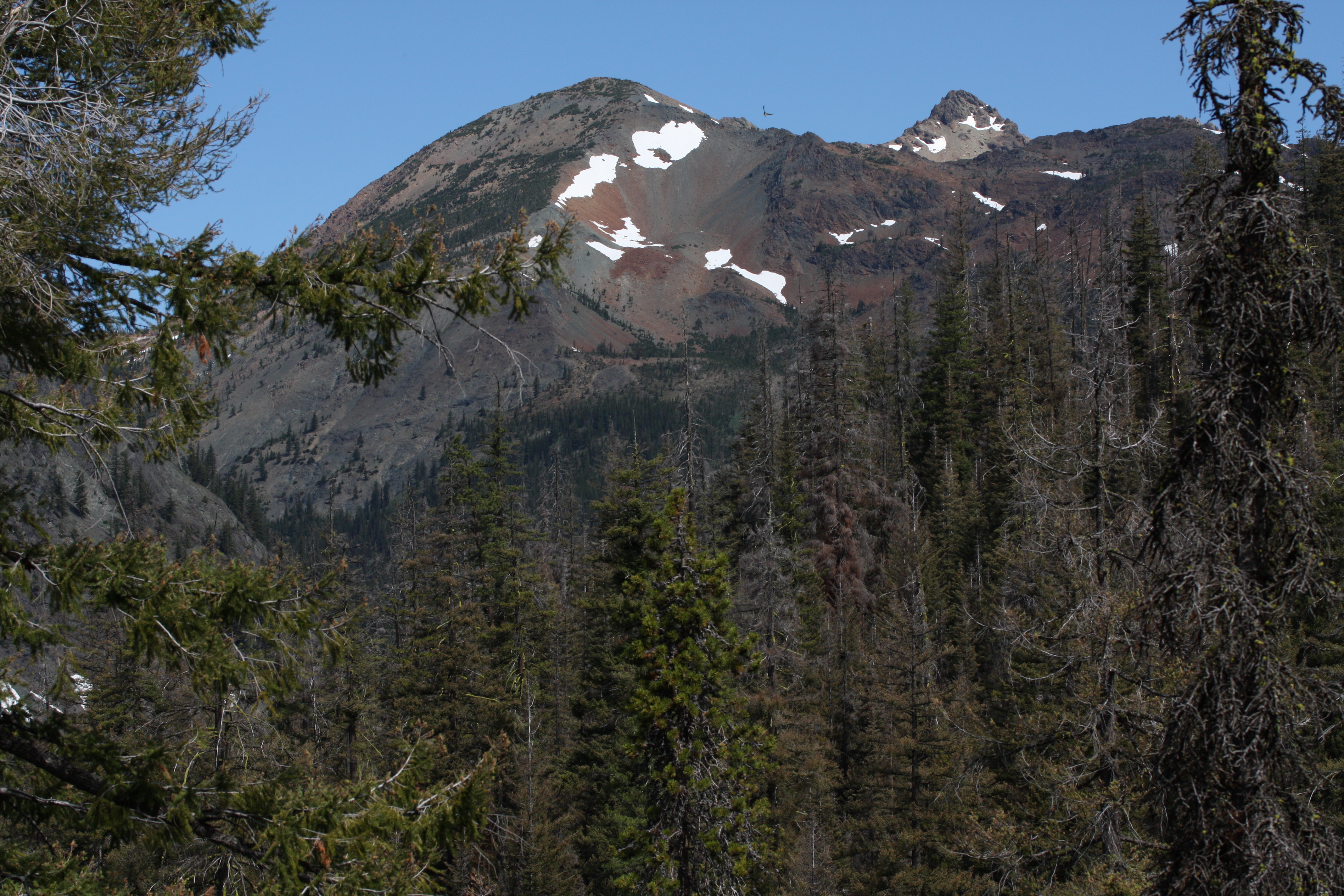 Ingalls Peak 7397