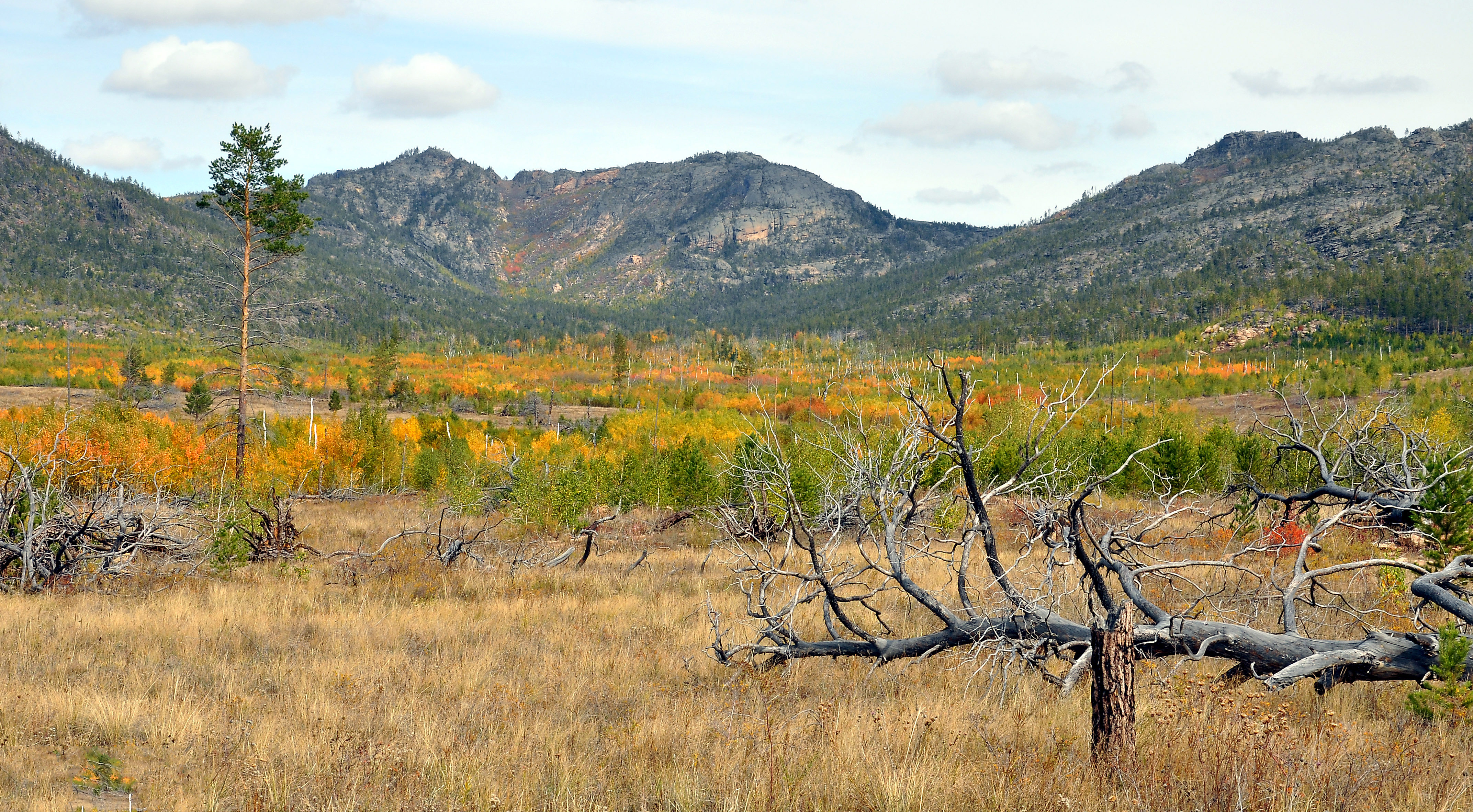 Karkaraly National Park 3