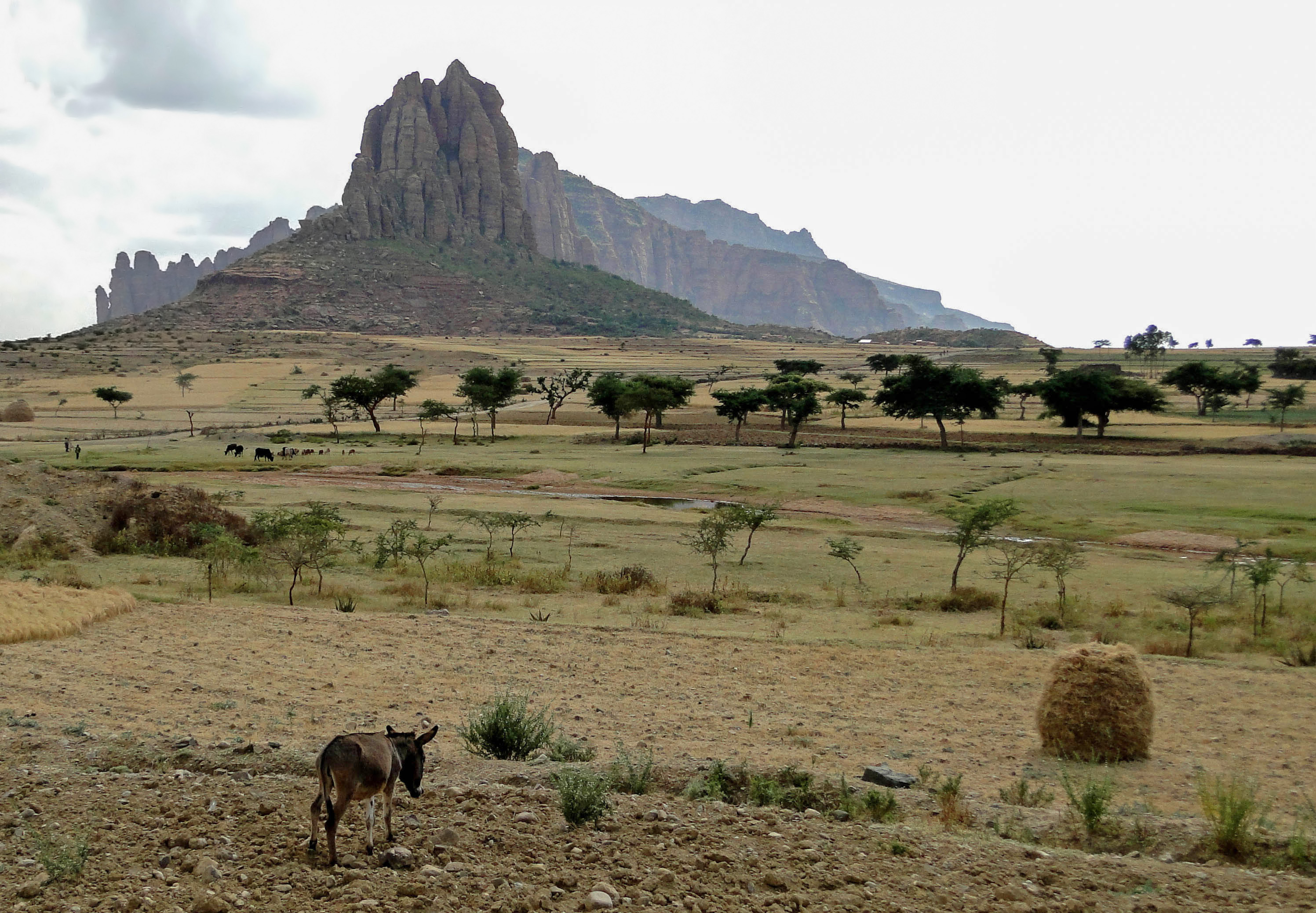 Landscape in Gheralta Massif 02