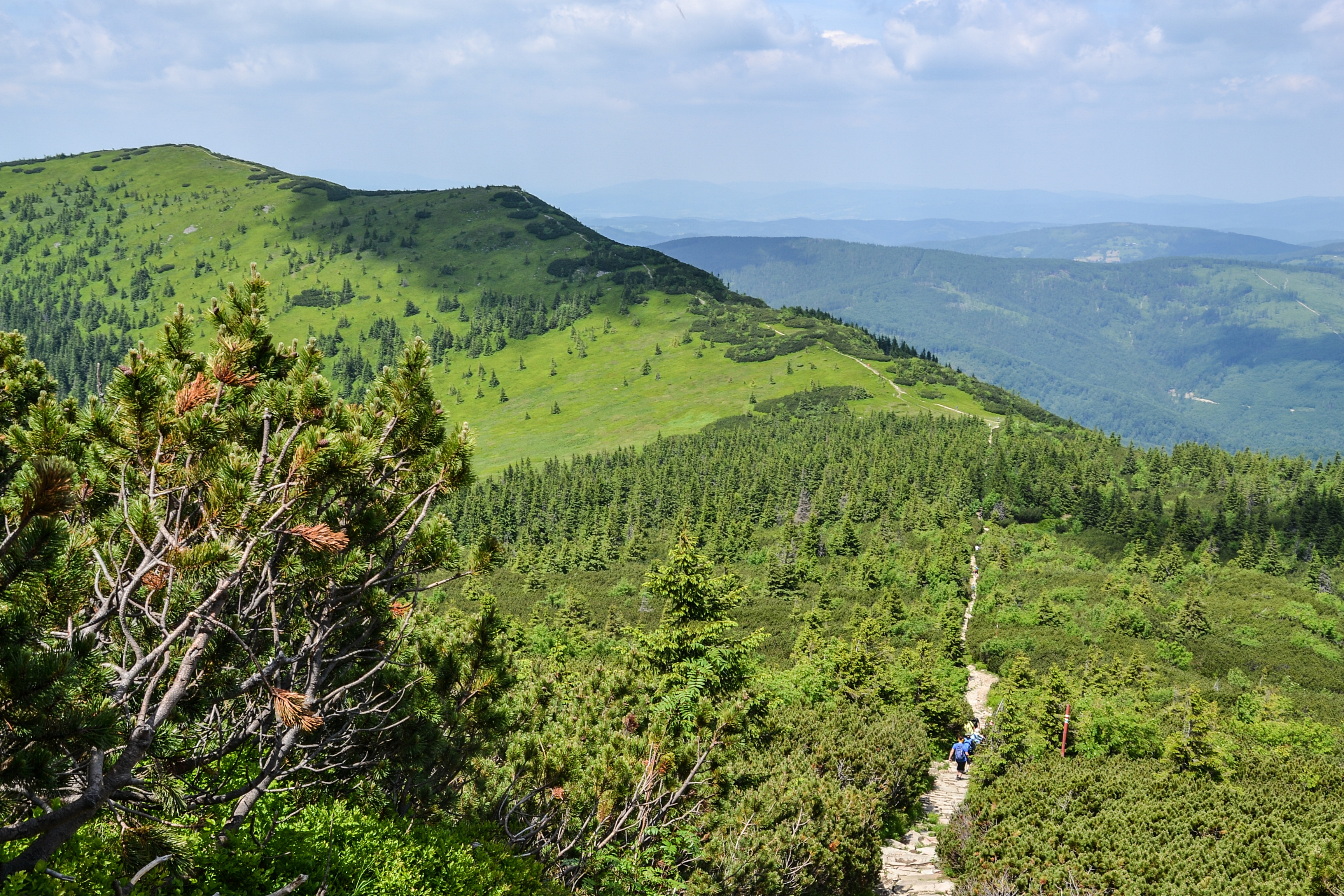 Mała Babia Góra, Beskid Żywiecki 04
