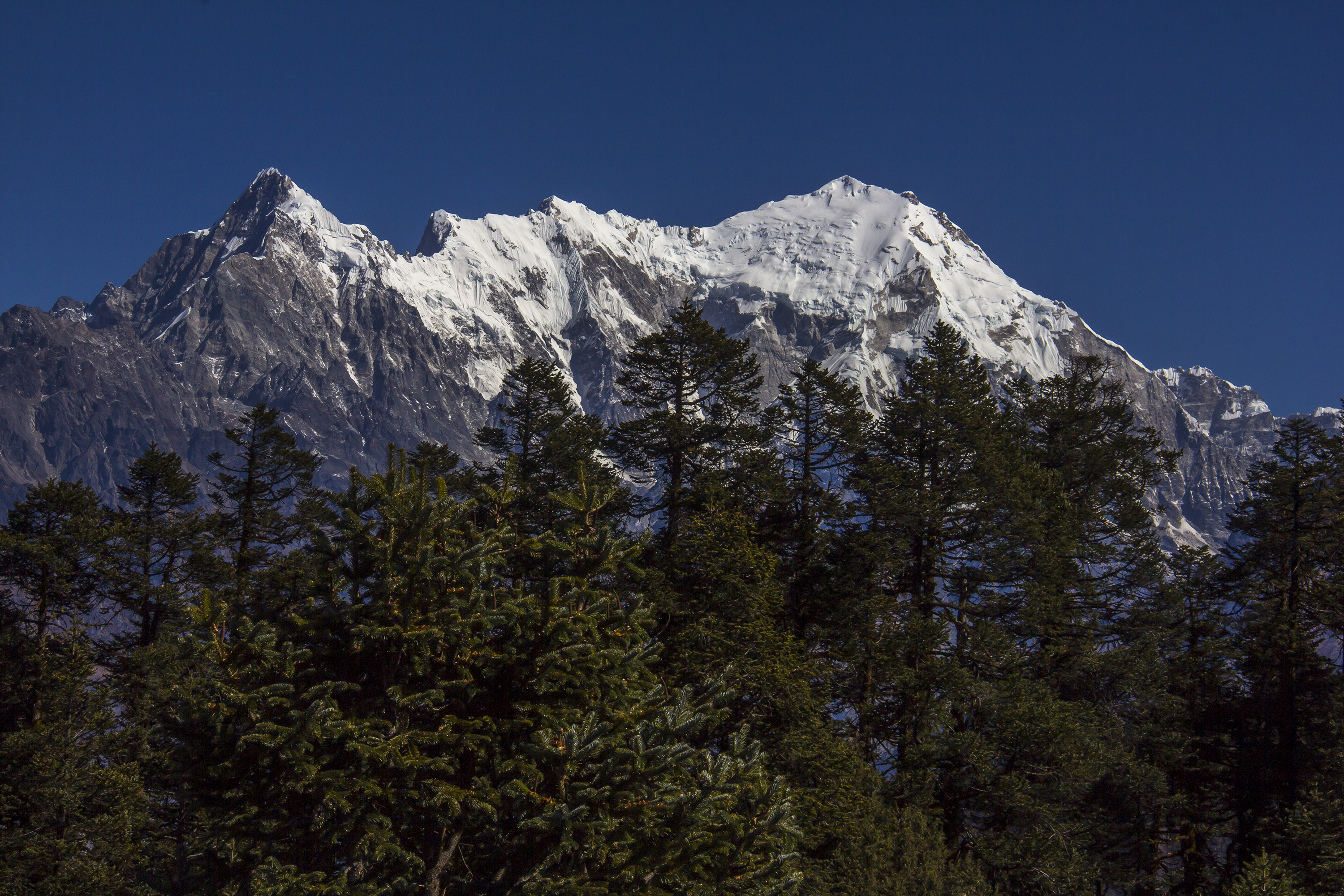 Majestic Himalayas - Luri Himal and Langtang Lirung(By Saroj Pandey)