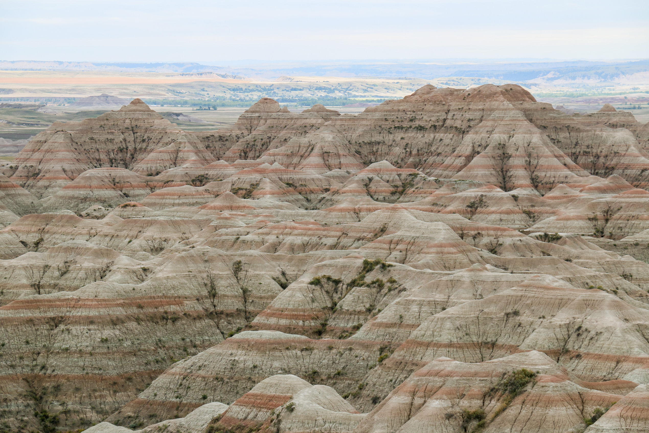MK00609 Badlands