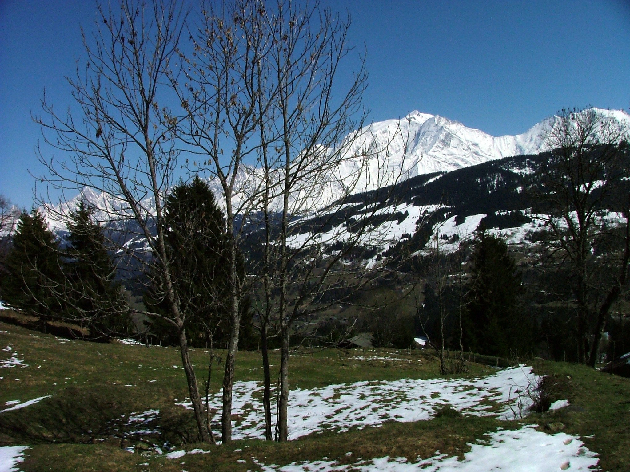 Mont blanc depuis cuchet