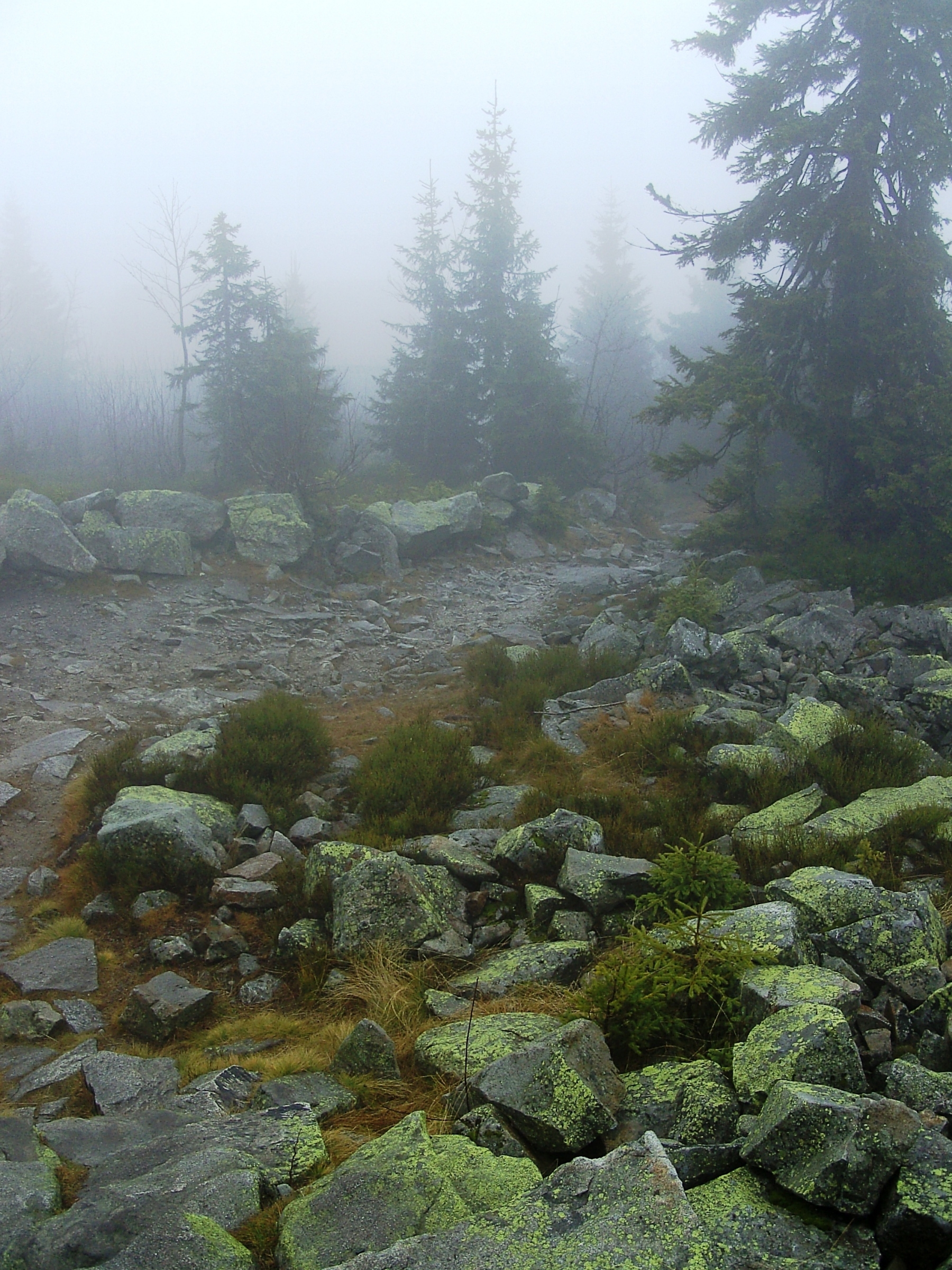 Nebel unterhalb des Lusen-Gipfels