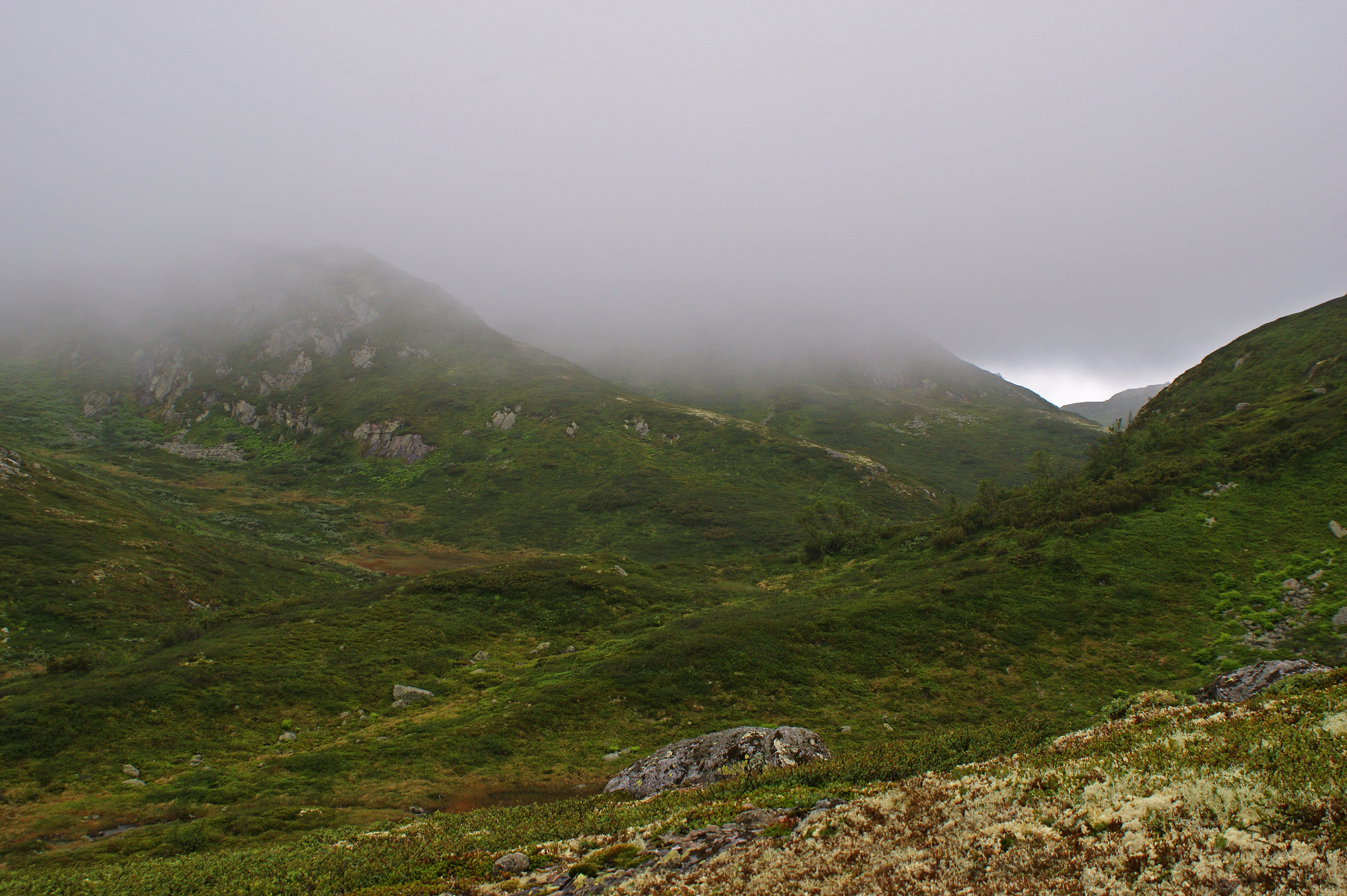 On a grey day (5913273416)