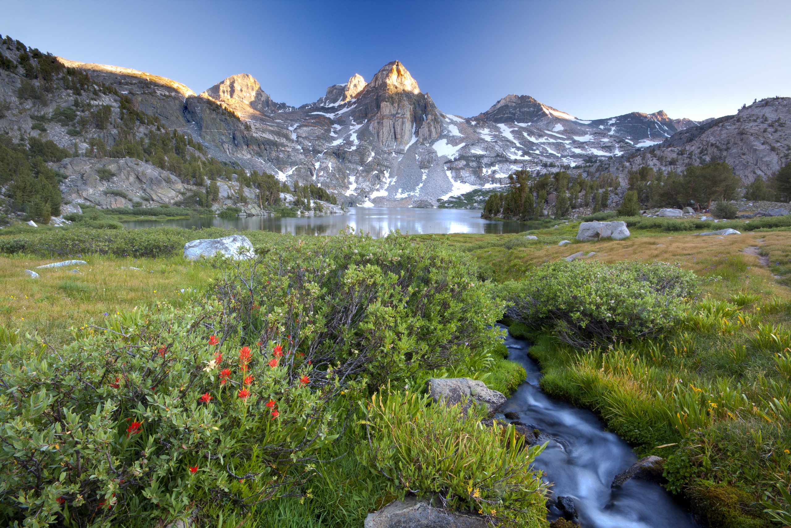 Painted Lady at Sunset (6117821355)