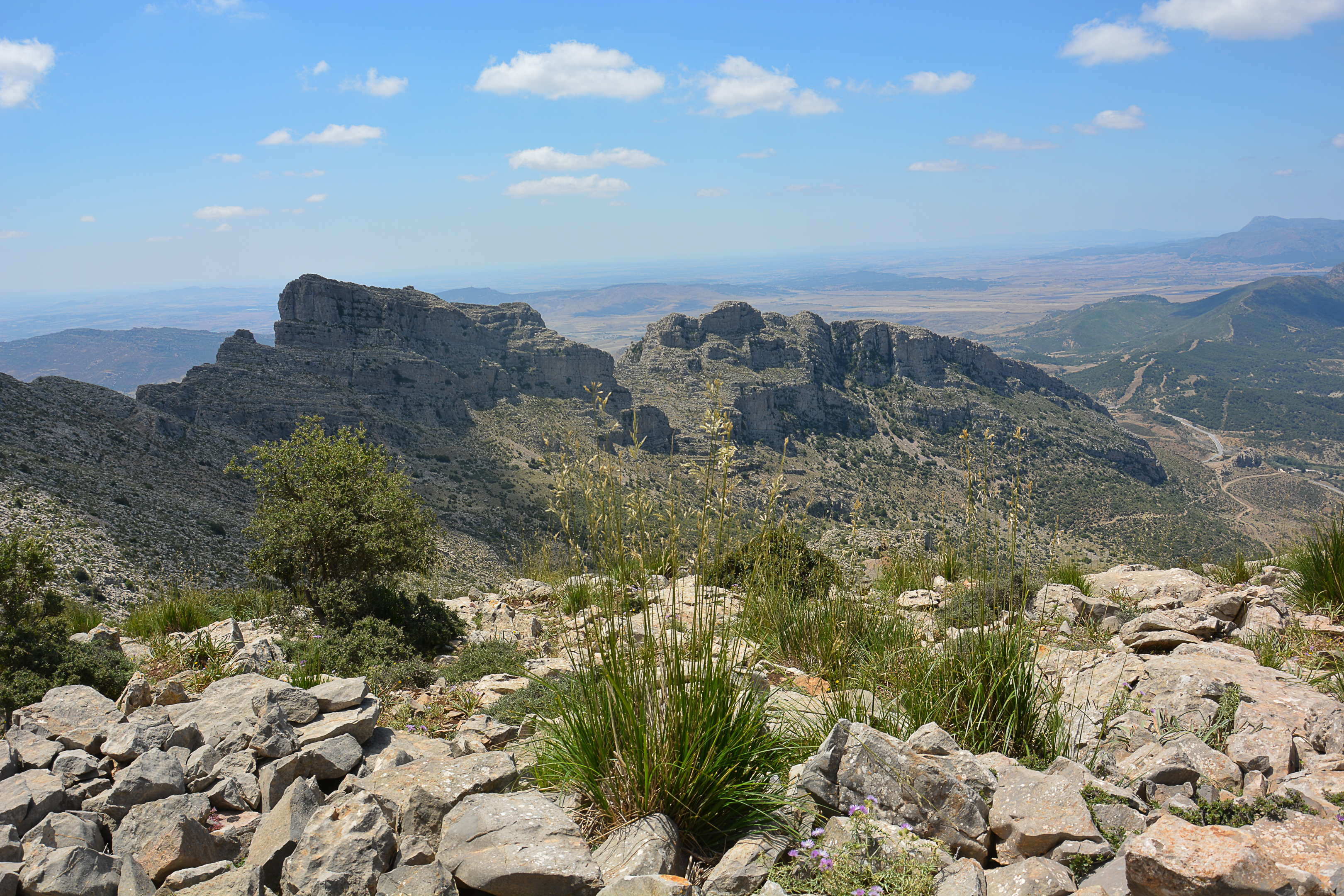 Parc National de Jabal Zaghouan 172