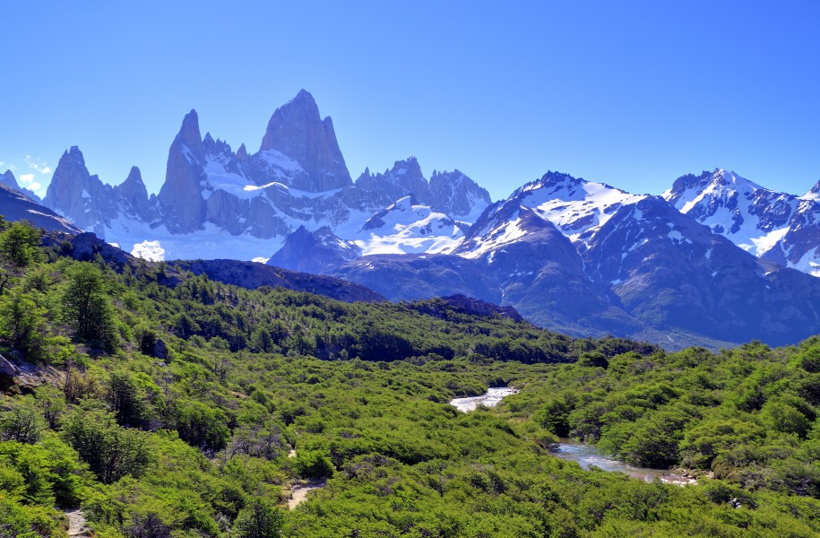 161 - Fitz Roy - Janvier 2010