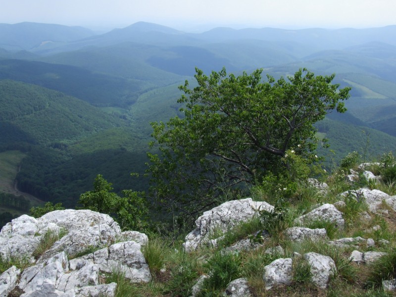 Bükk Mountains 04 (by Pudelek) - view from Tar-kő