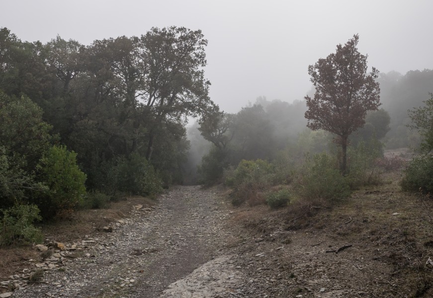Badaia - Barranco de los Goros - Camino 01