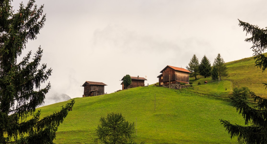 Bergtocht van Churwalden Mittelberg (1500 meter) via Ranculier en Praden naar Tschiertschen 03