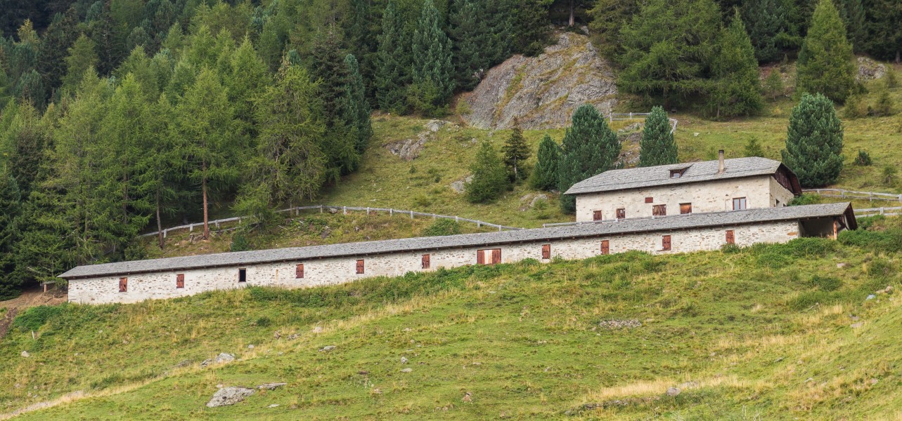 Bergtocht van Cogolo di Peio naar M.ga Levi in het Nationaal park Stelvio (Italië). Nederzetting M.ga Levi 02