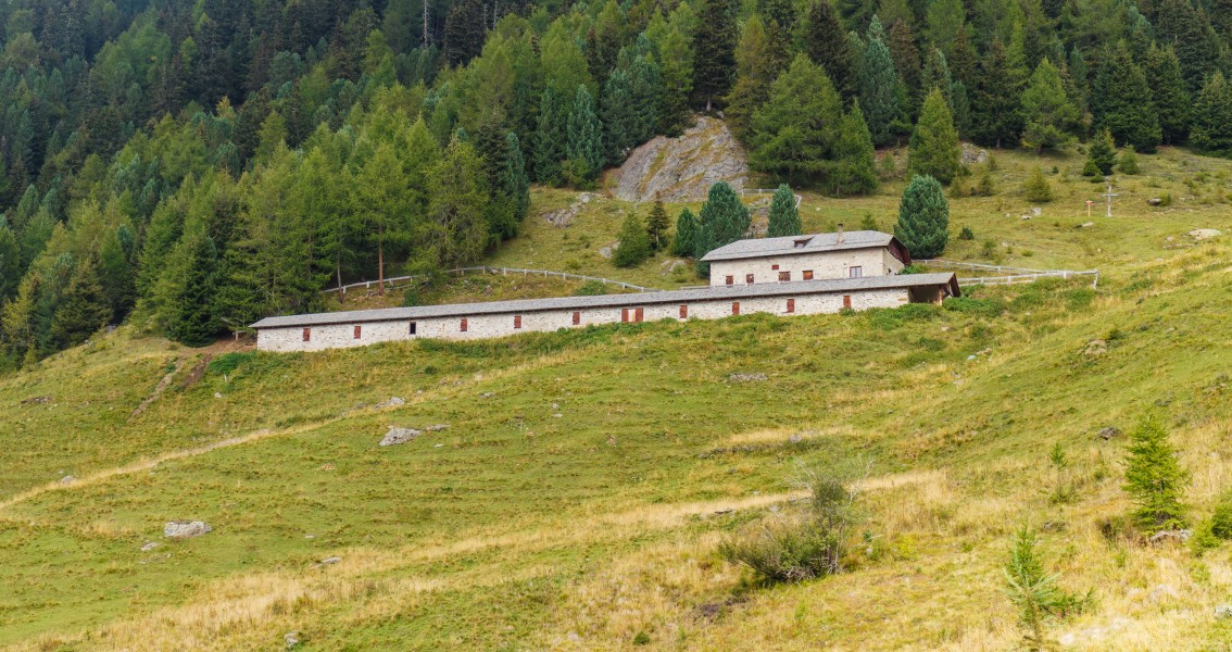 Bergtocht van Cogolo di Peio naar M.ga Levi in het Nationaal park Stelvio (Italië) 22