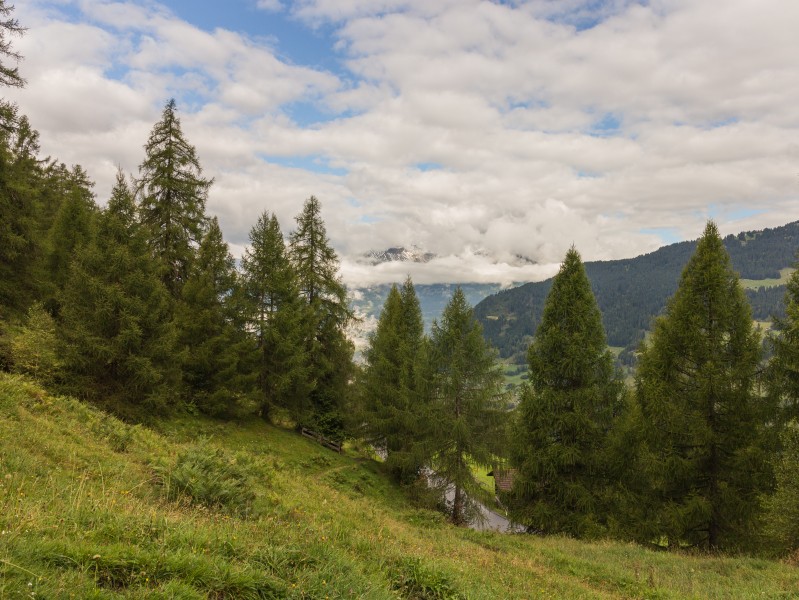 Bergtocht van Tschiertschen (1350 meter) via de vlinderroute naar Furgglis 01