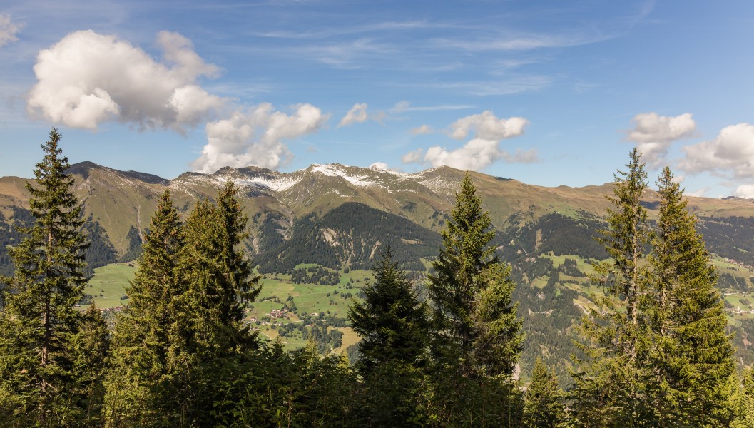 Bergtocht van Tschiertschen (1350 meter) via de vlinderroute naar Furgglis 013