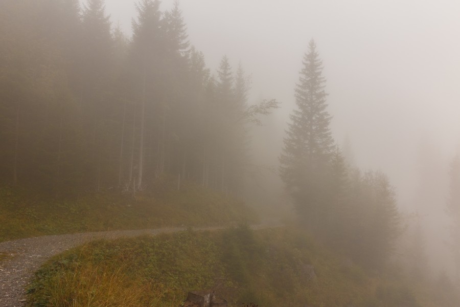 Bergtocht van Tschiertschen (1350 meter) via Ruchtobel naar Löser (1680 meter) 015